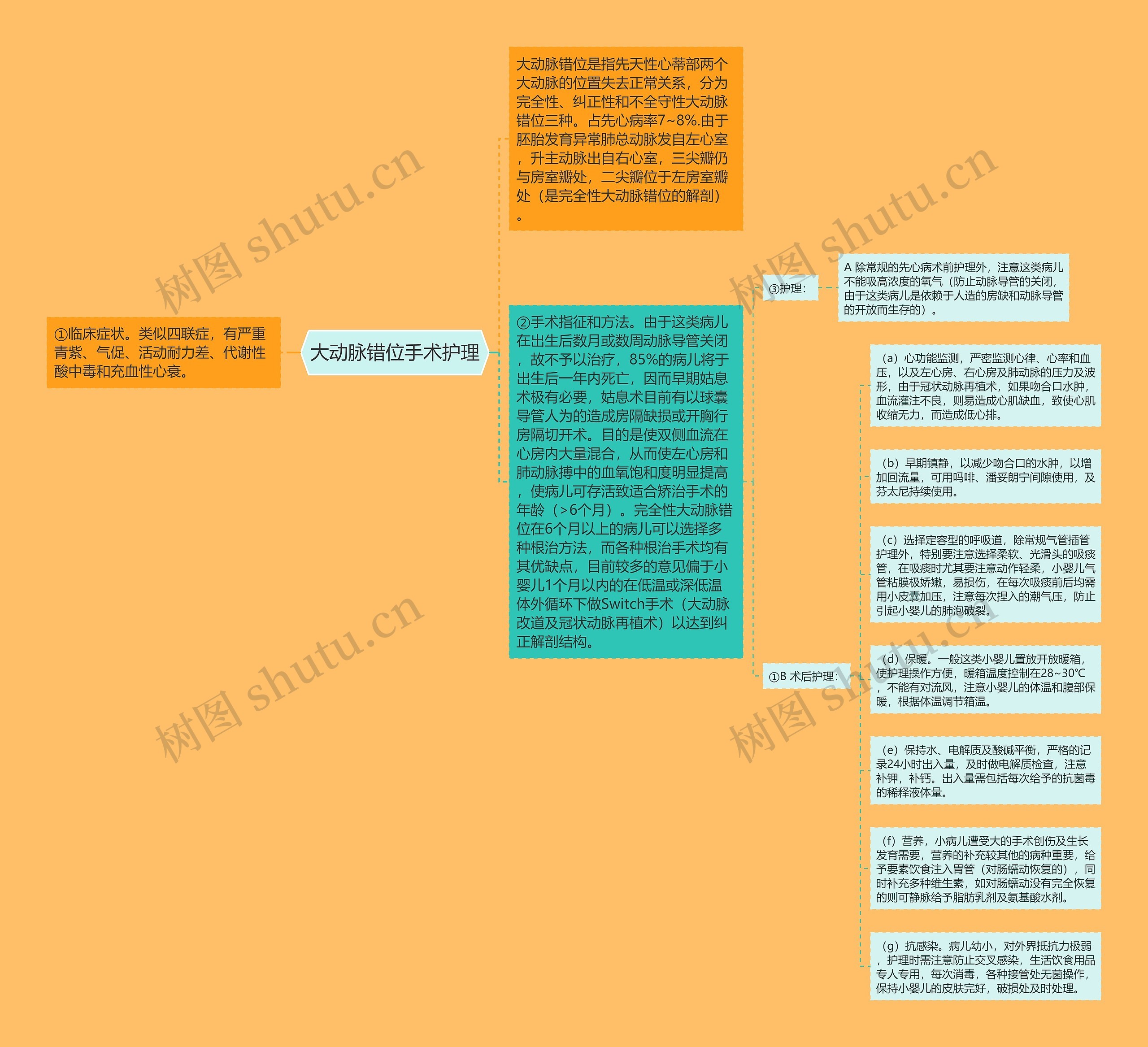 大动脉错位手术护理思维导图