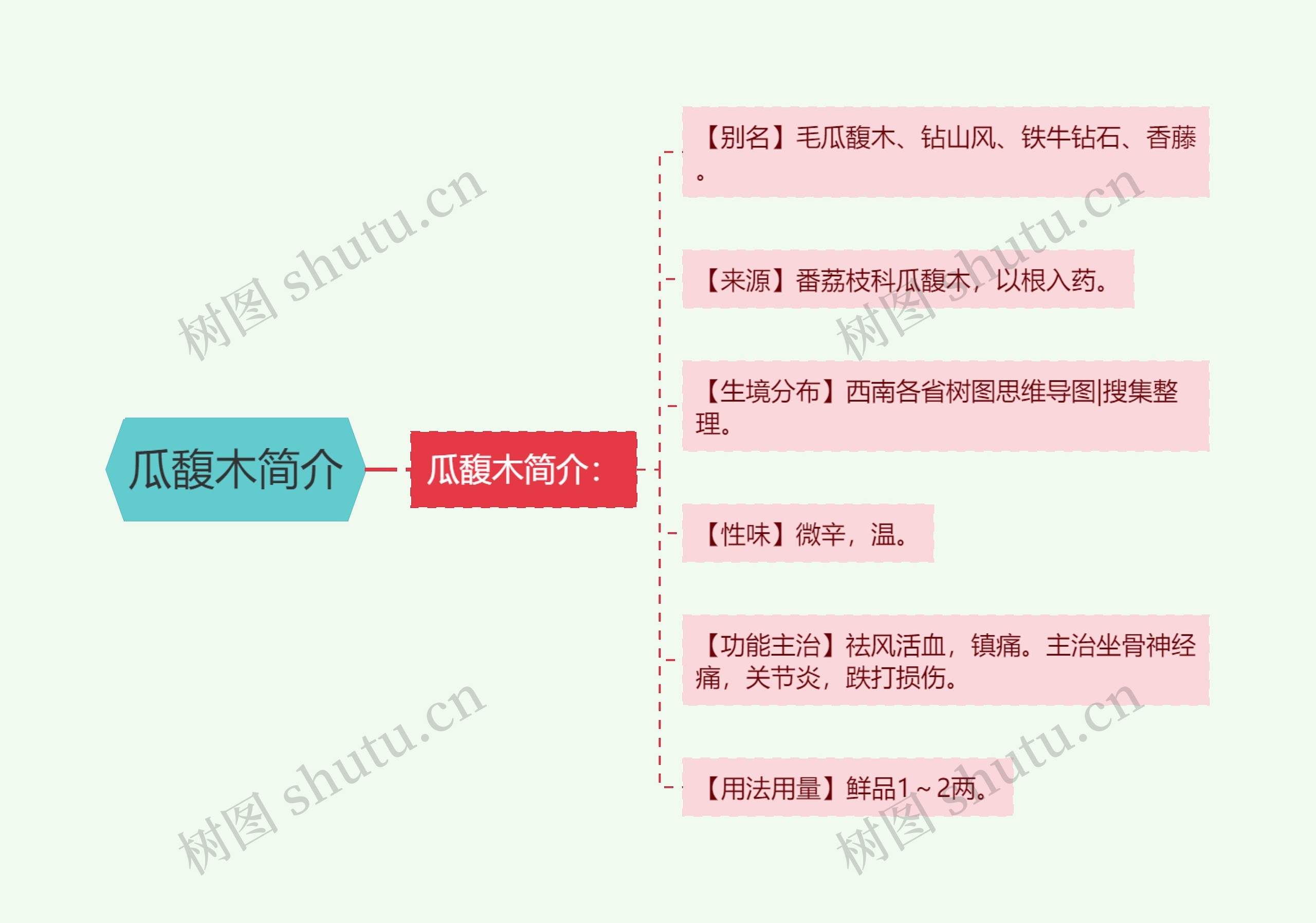 瓜馥木简介思维导图