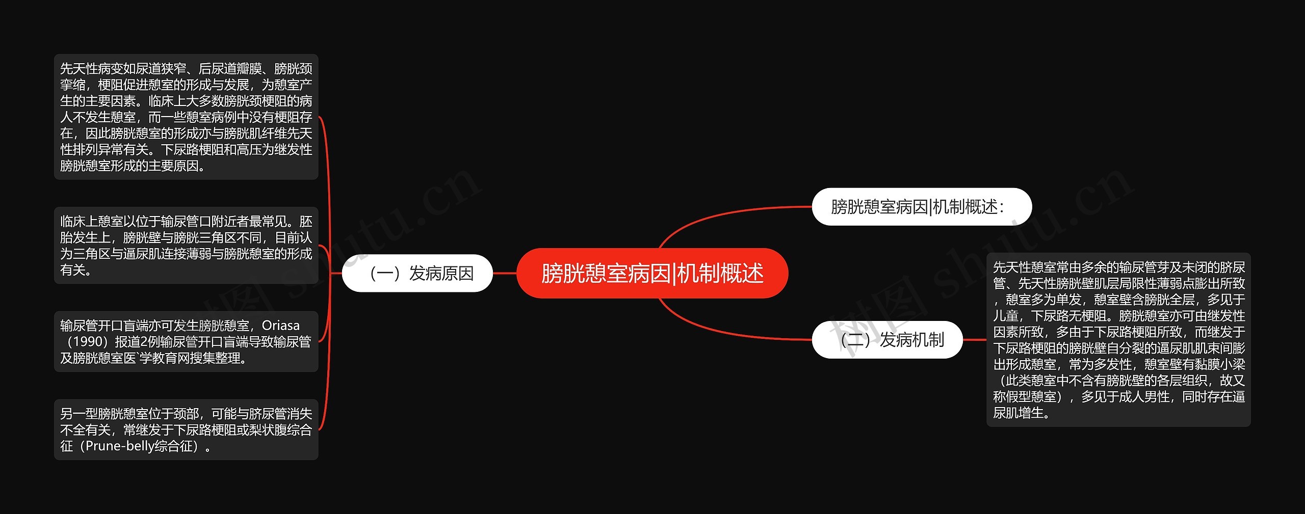 膀胱憩室病因|机制概述 膀胱憩室病因|机制概述
