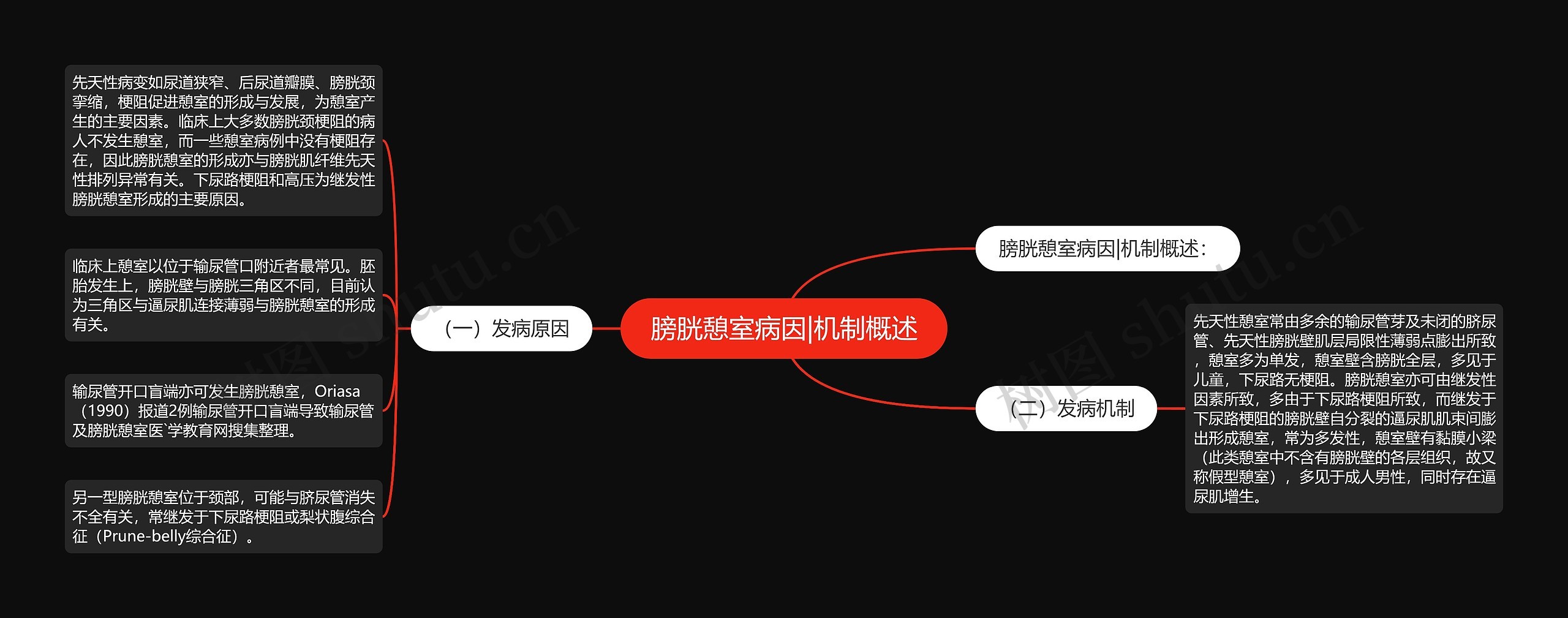 膀胱憩室病因|机制概述思维导图