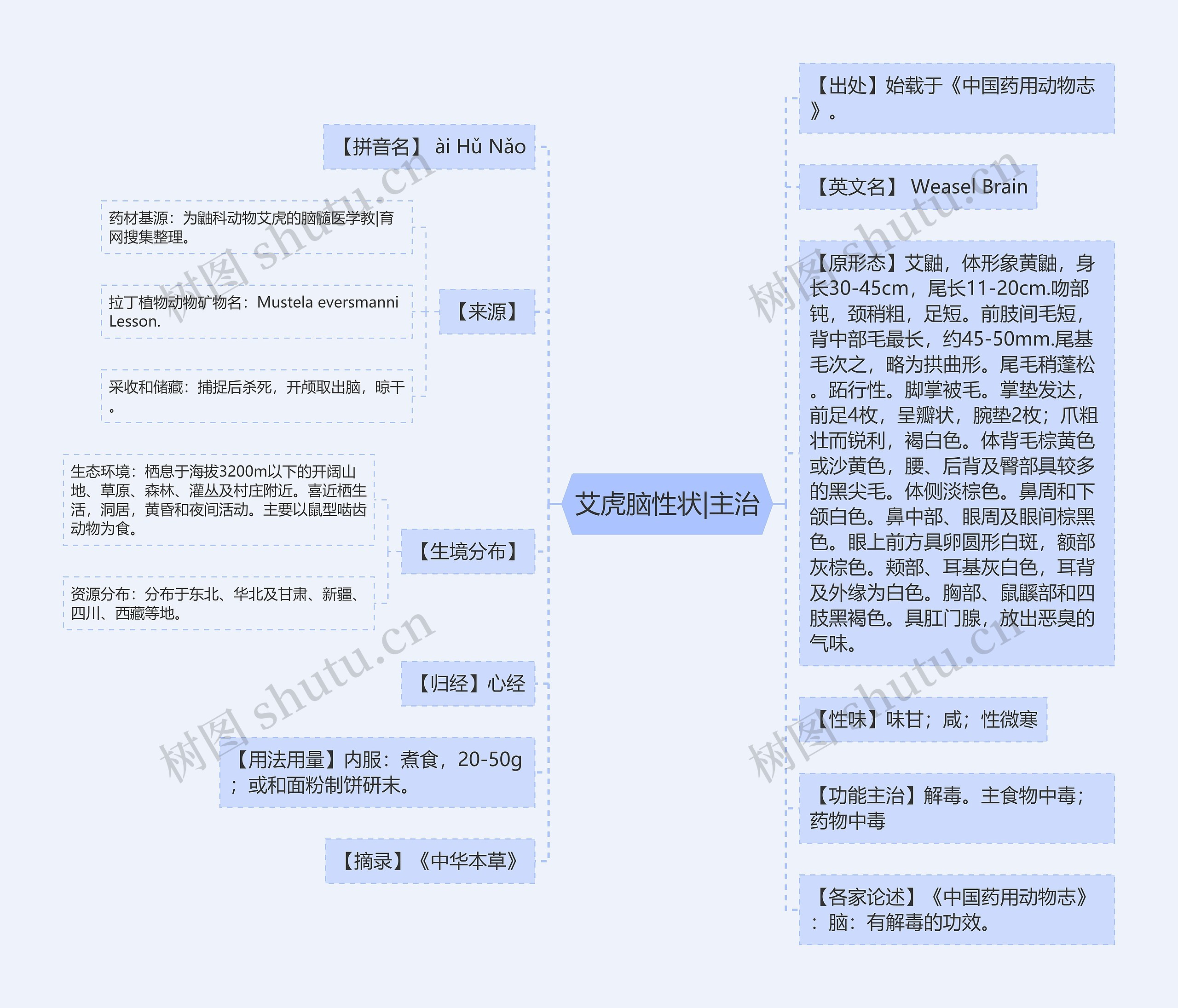 艾虎脑性状|主治思维导图