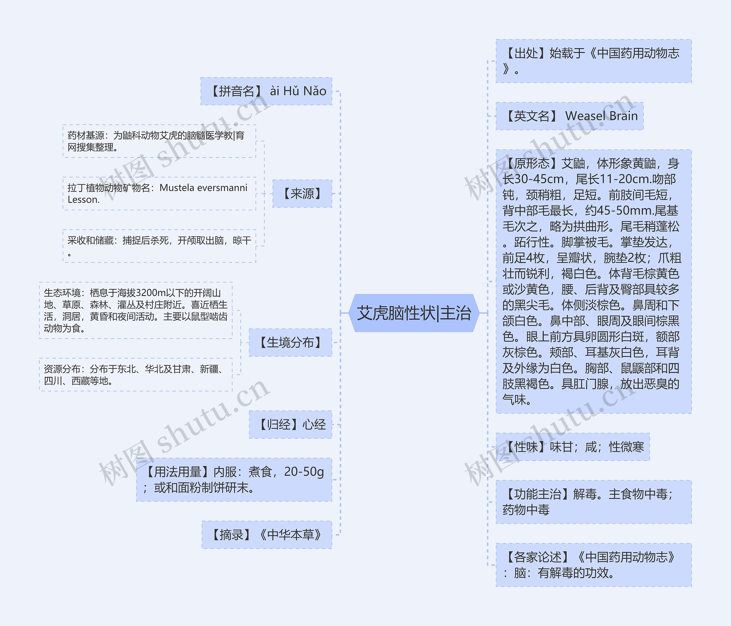 艾虎脑性状|主治 艾虎脑性状|主治