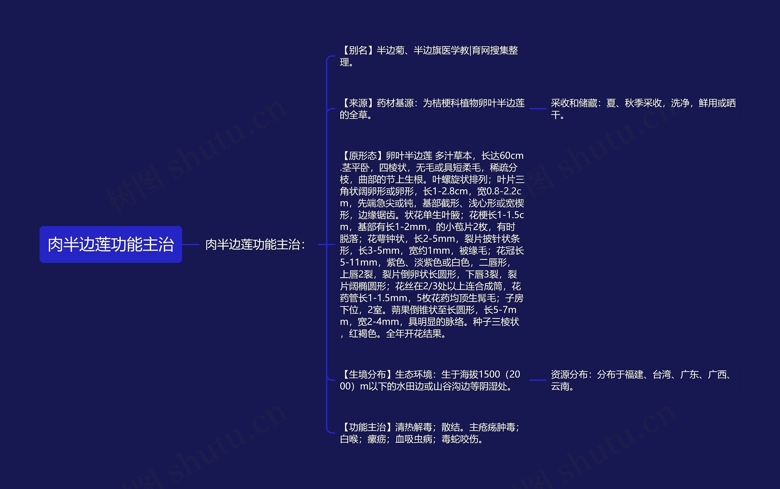 肉半边莲功能主治