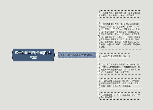 槐米的原形态|分布|性状|功能