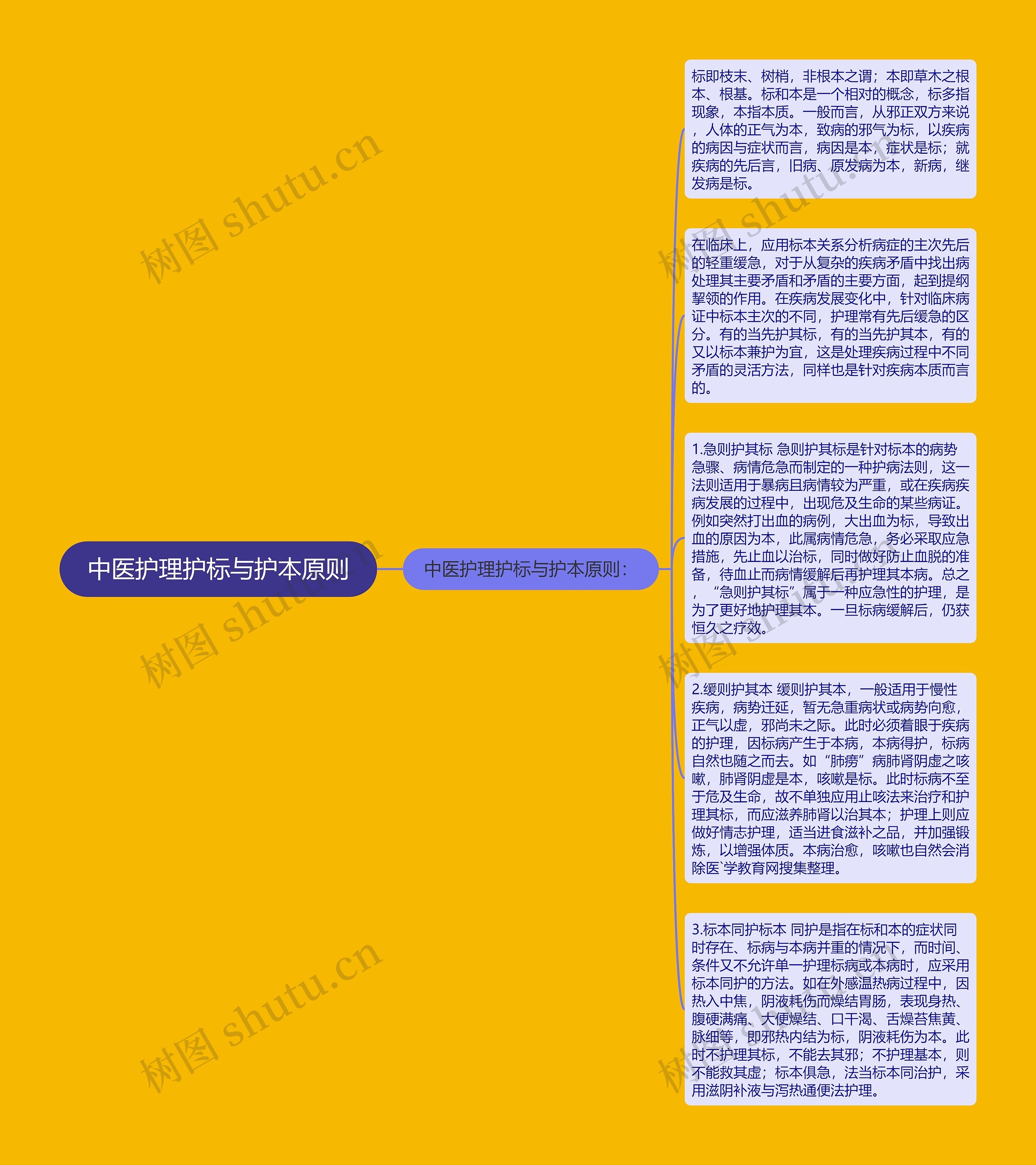 中医护理护标与护本原则