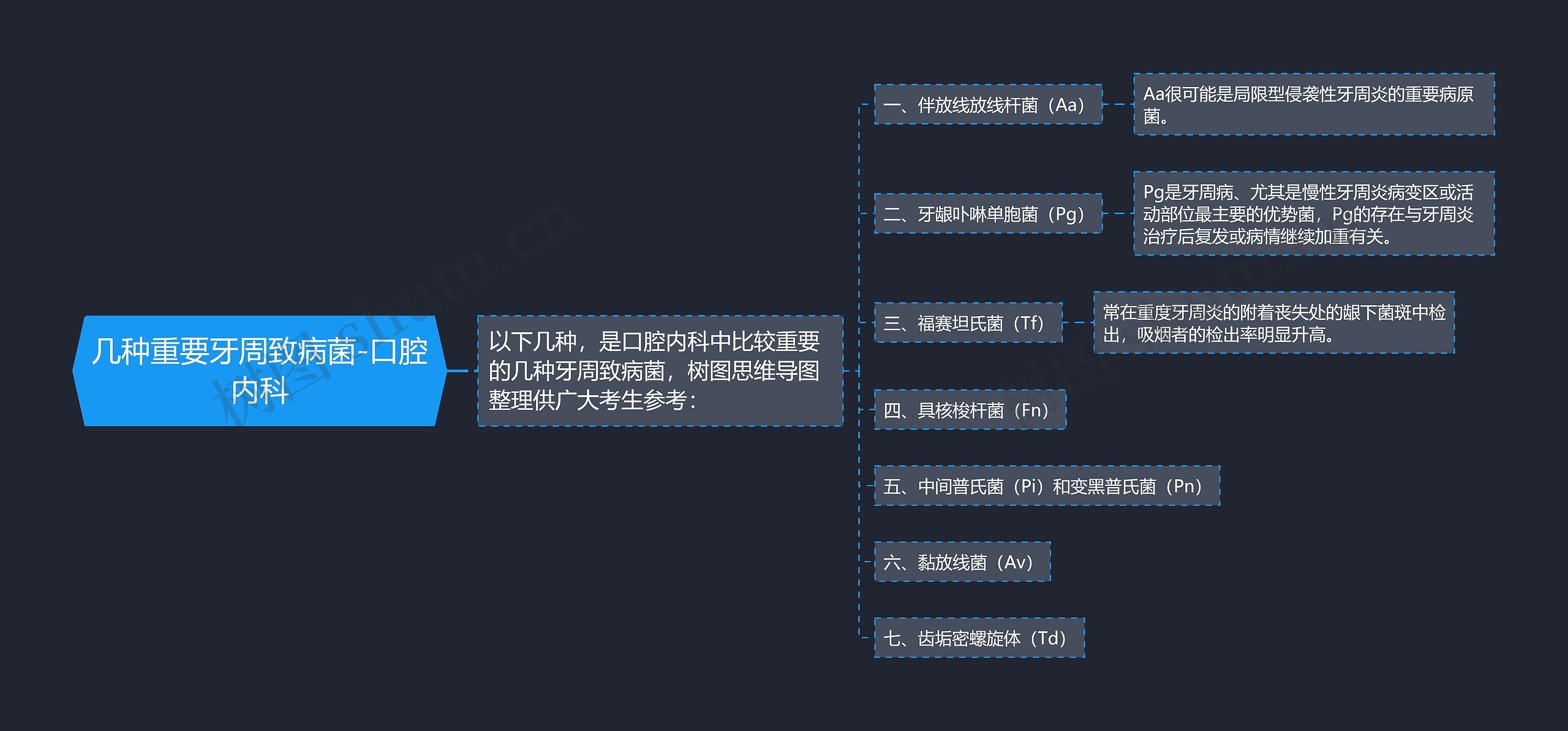 几种重要牙周致病菌-口腔内科思维导图