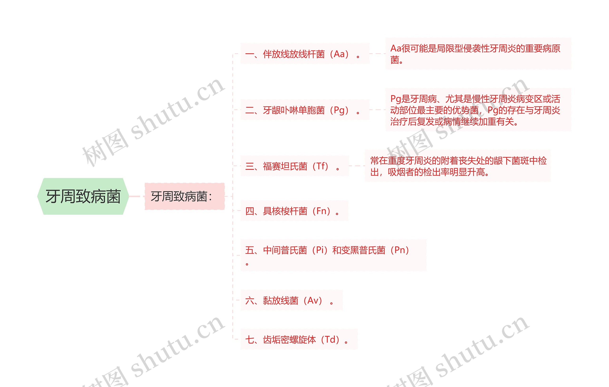 牙周致病菌思维导图