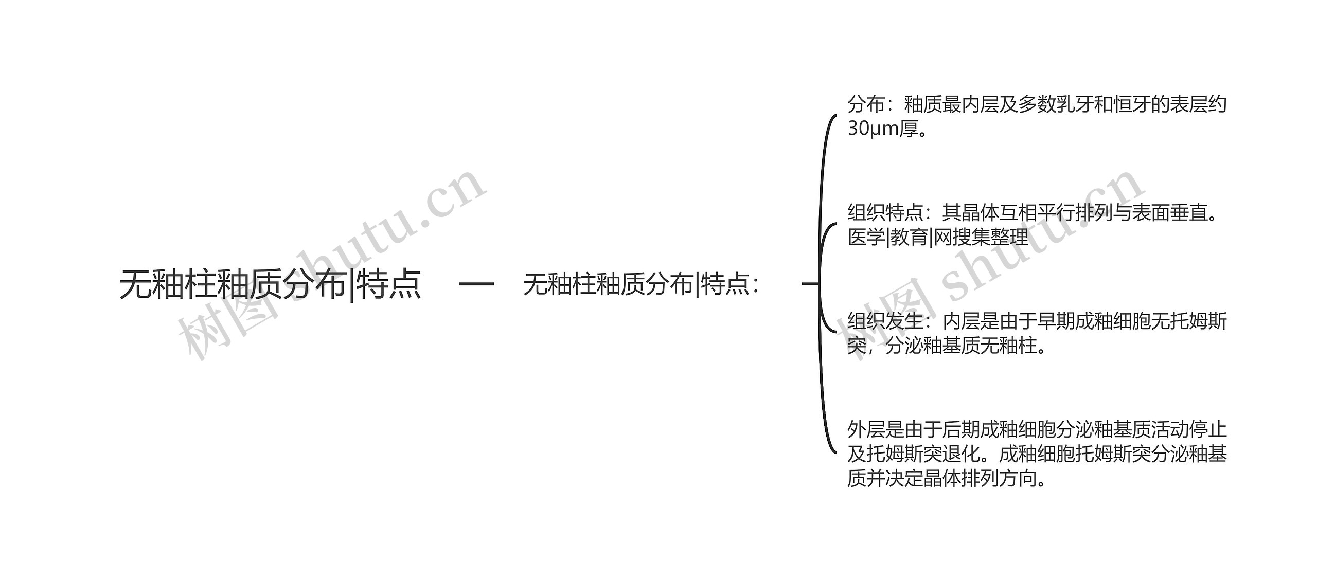 无釉柱釉质分布|特点