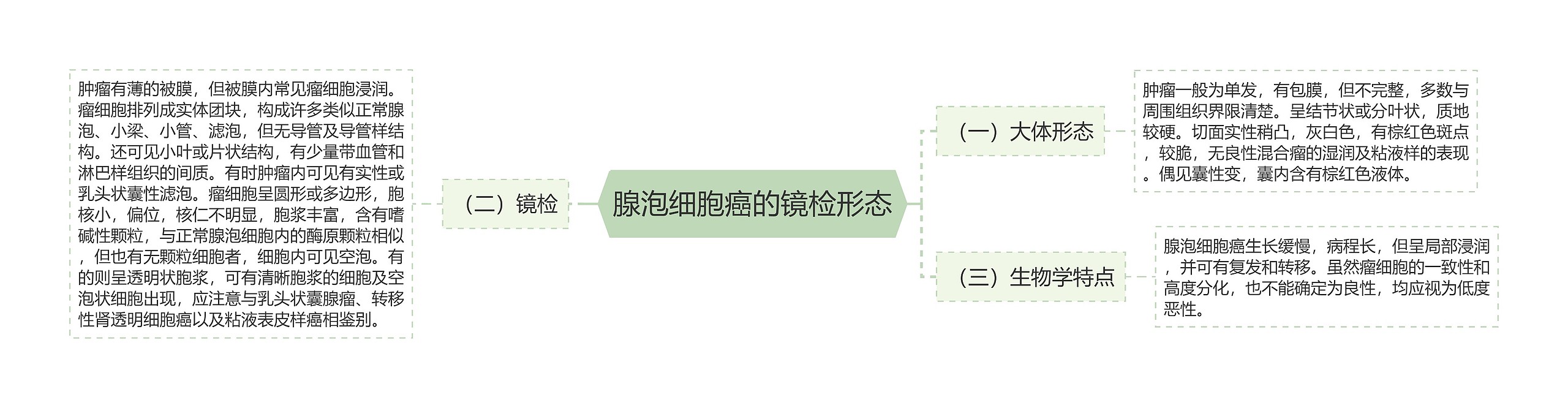 腺泡细胞癌的镜检形态思维导图