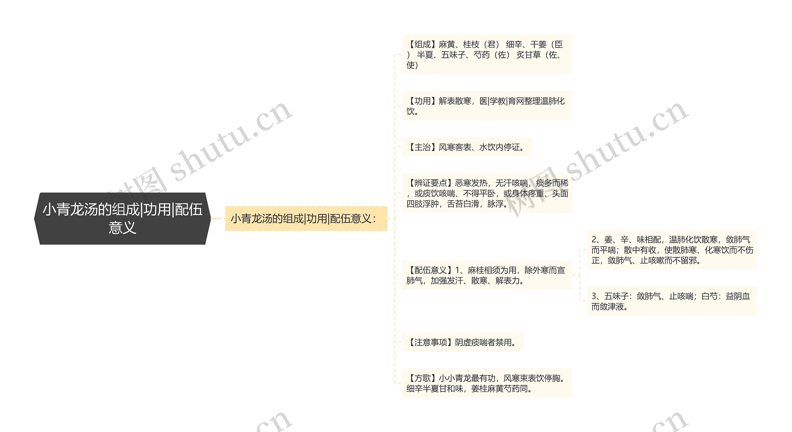 小青龙汤的组成|功用|配伍意义思维导图