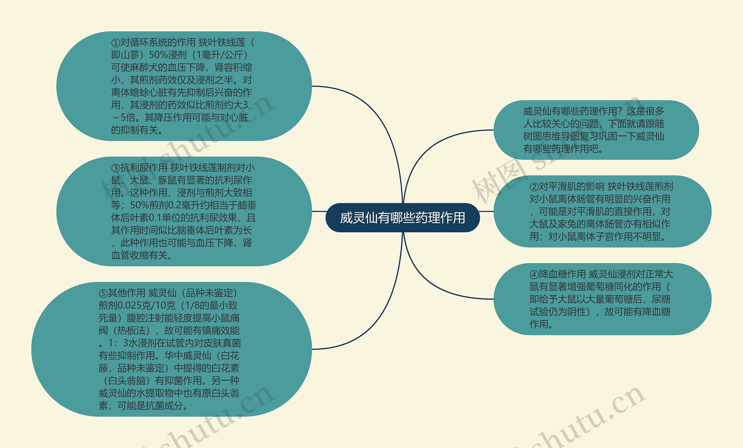 威灵仙有哪些药理作用 威灵仙有哪些药理作用