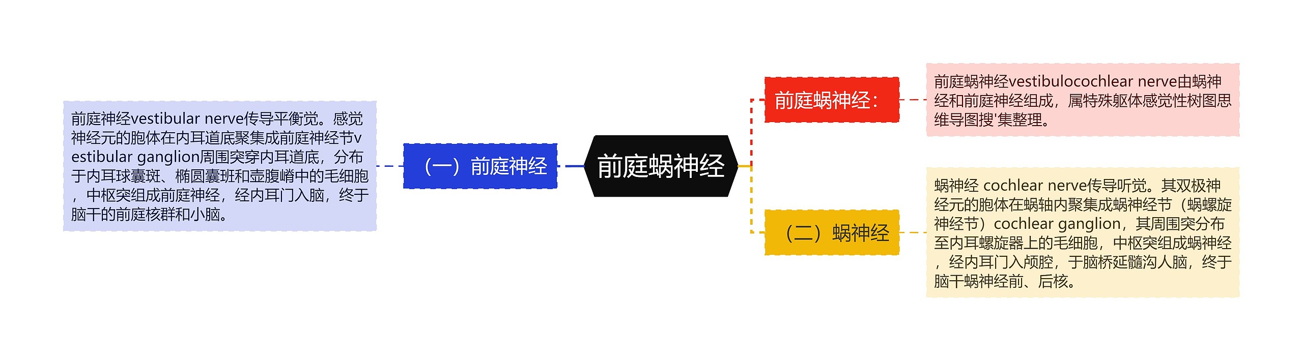 前庭蜗神经思维导图