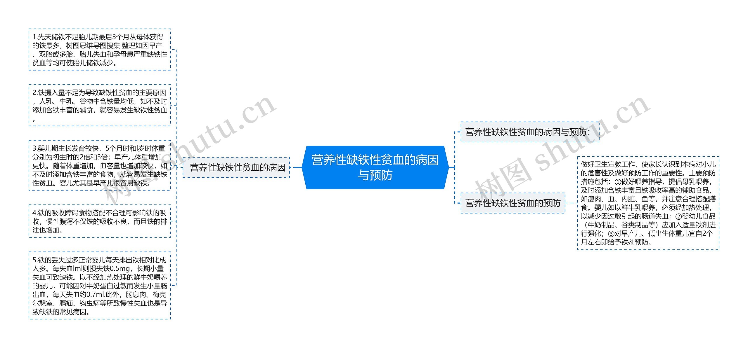 营养性缺铁性贫血的病因与预防 营养性缺铁性贫血的病因与预防