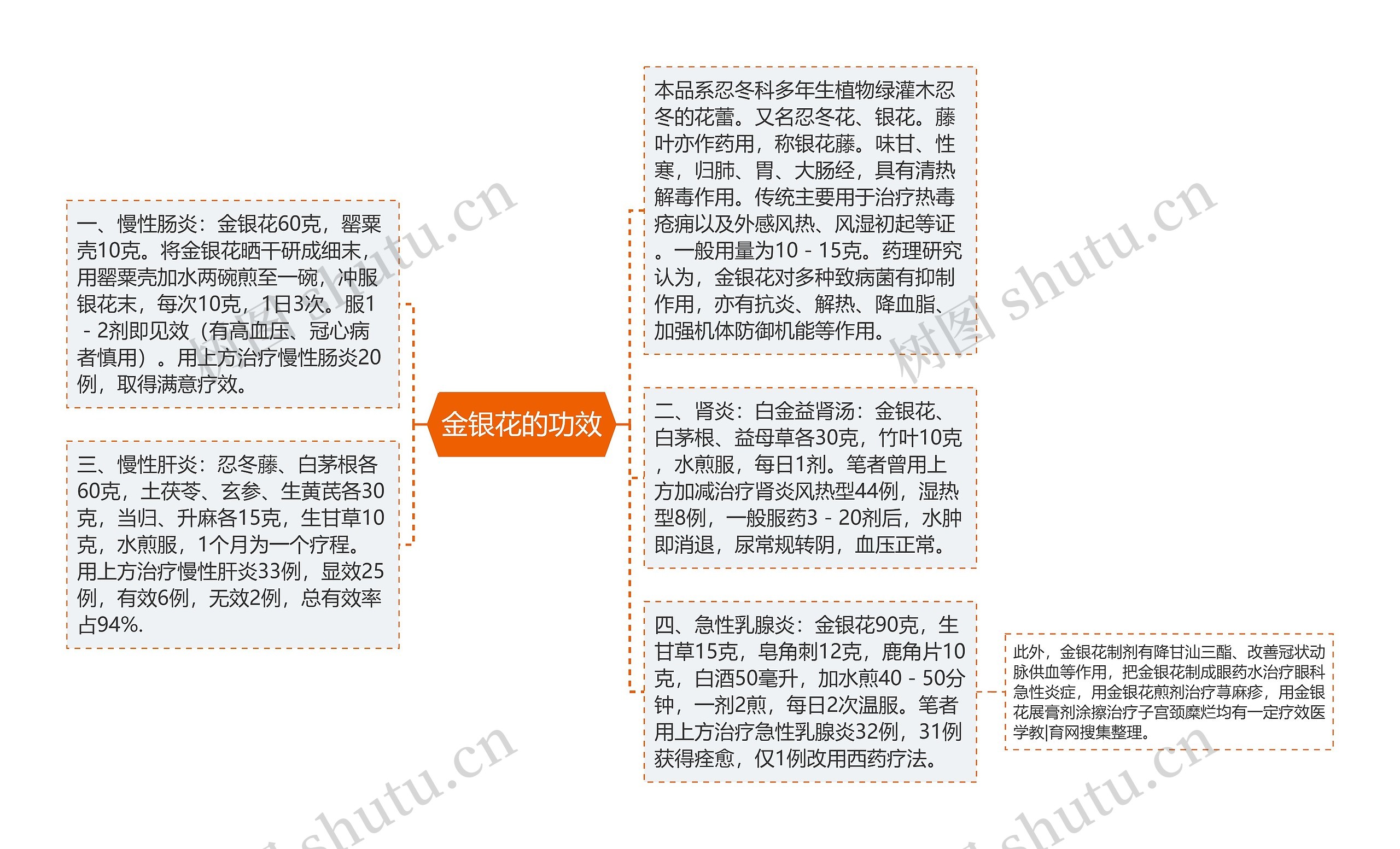 金银花的功效思维导图