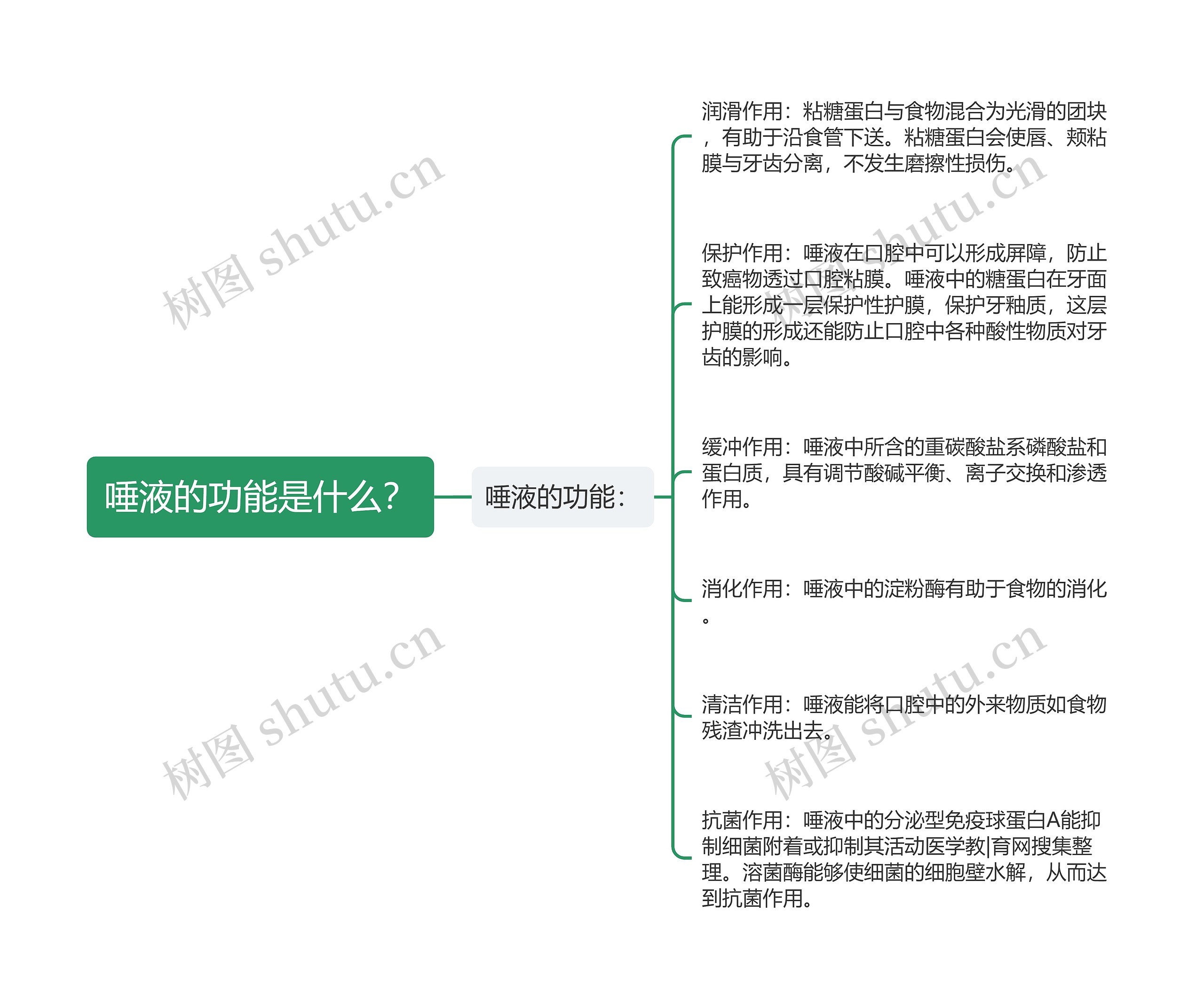 唾液的功能是什么? 唾液的功能是什么?