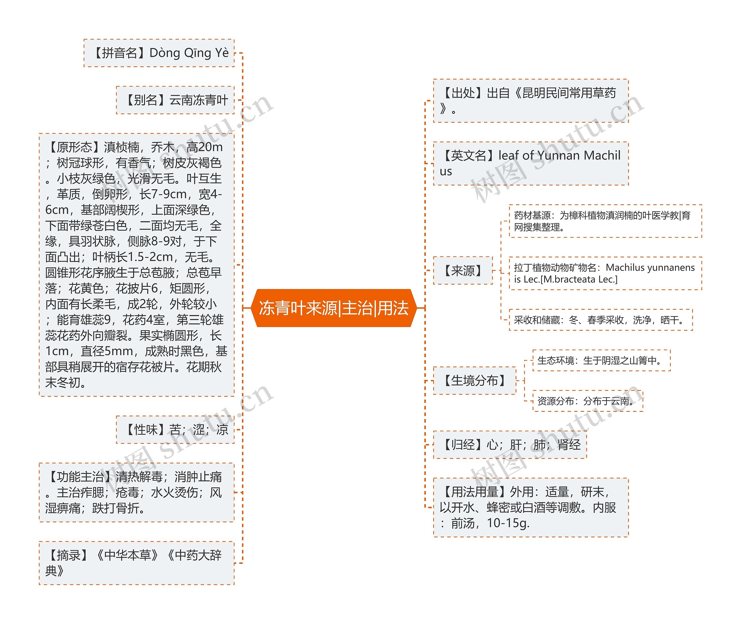 冻青叶来源|主治|用法思维导图