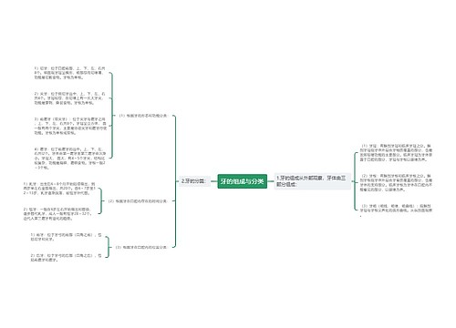 牙的组成与分类