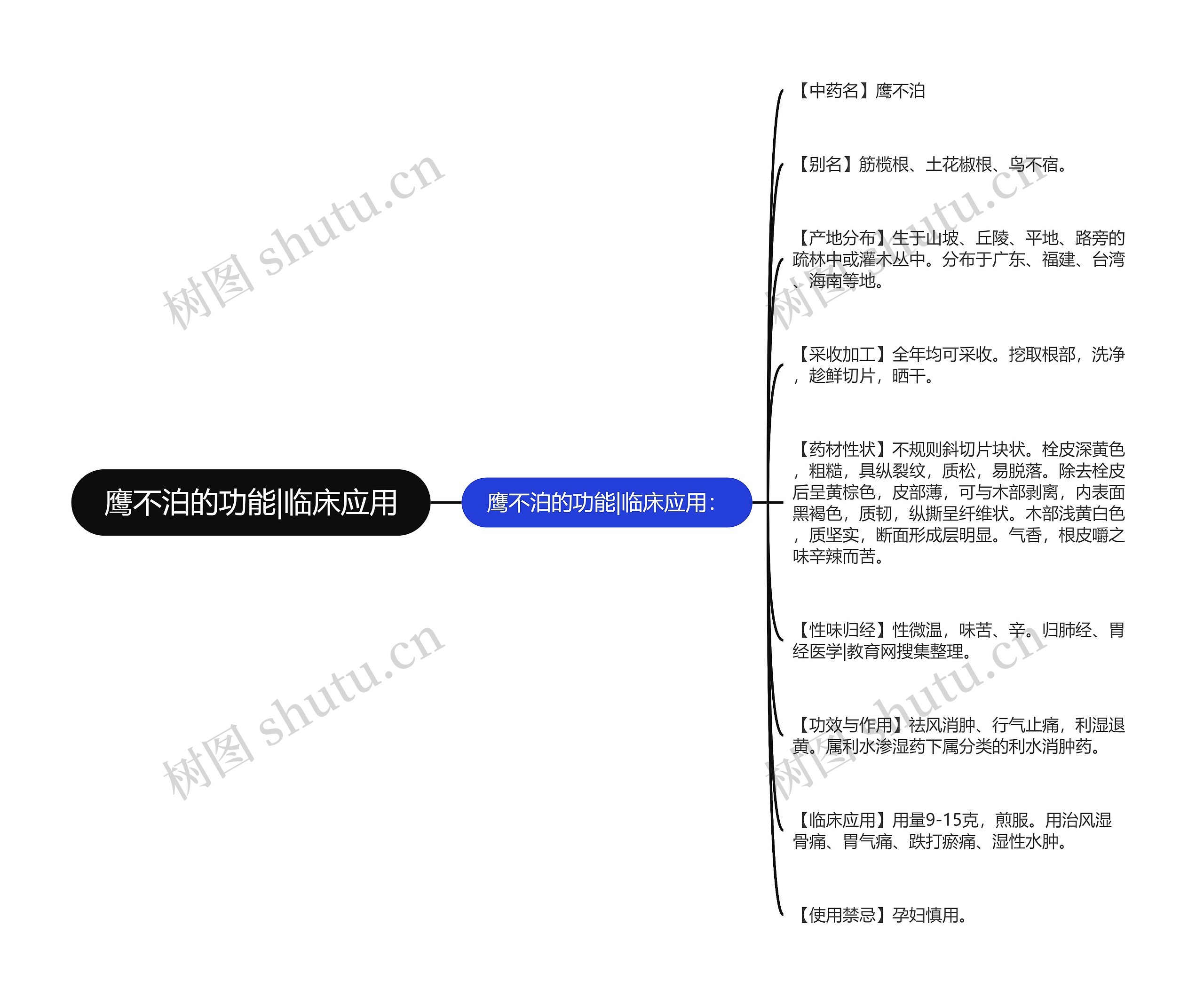 鹰不泊的功能|临床应用思维导图