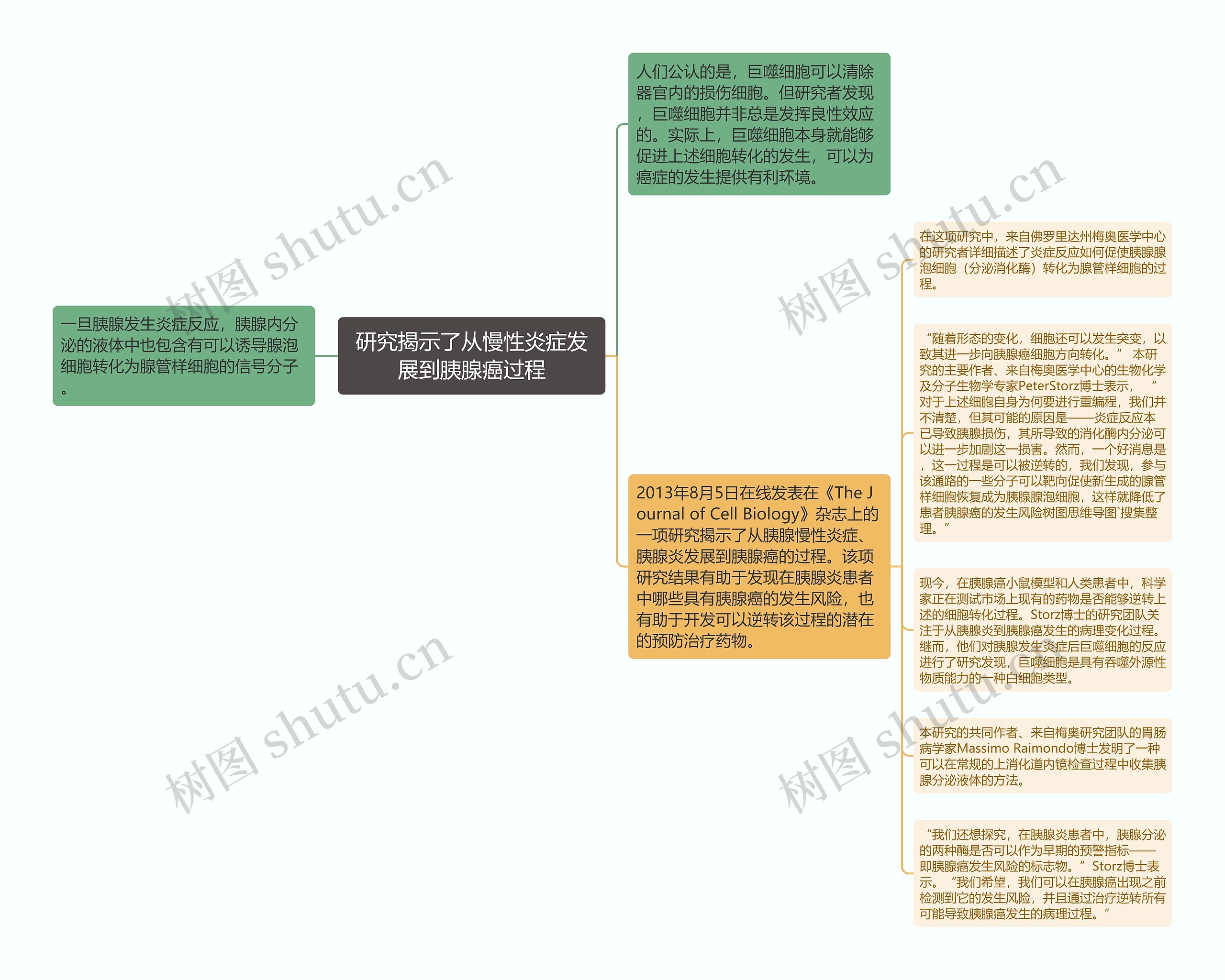 研究揭示了从慢性炎症发展到胰腺癌过程