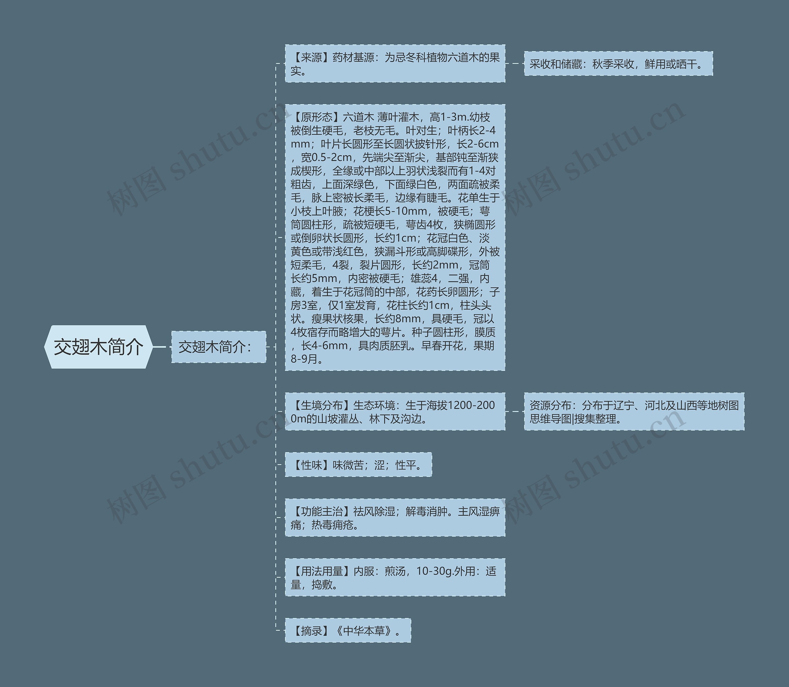 交翅木简介思维导图