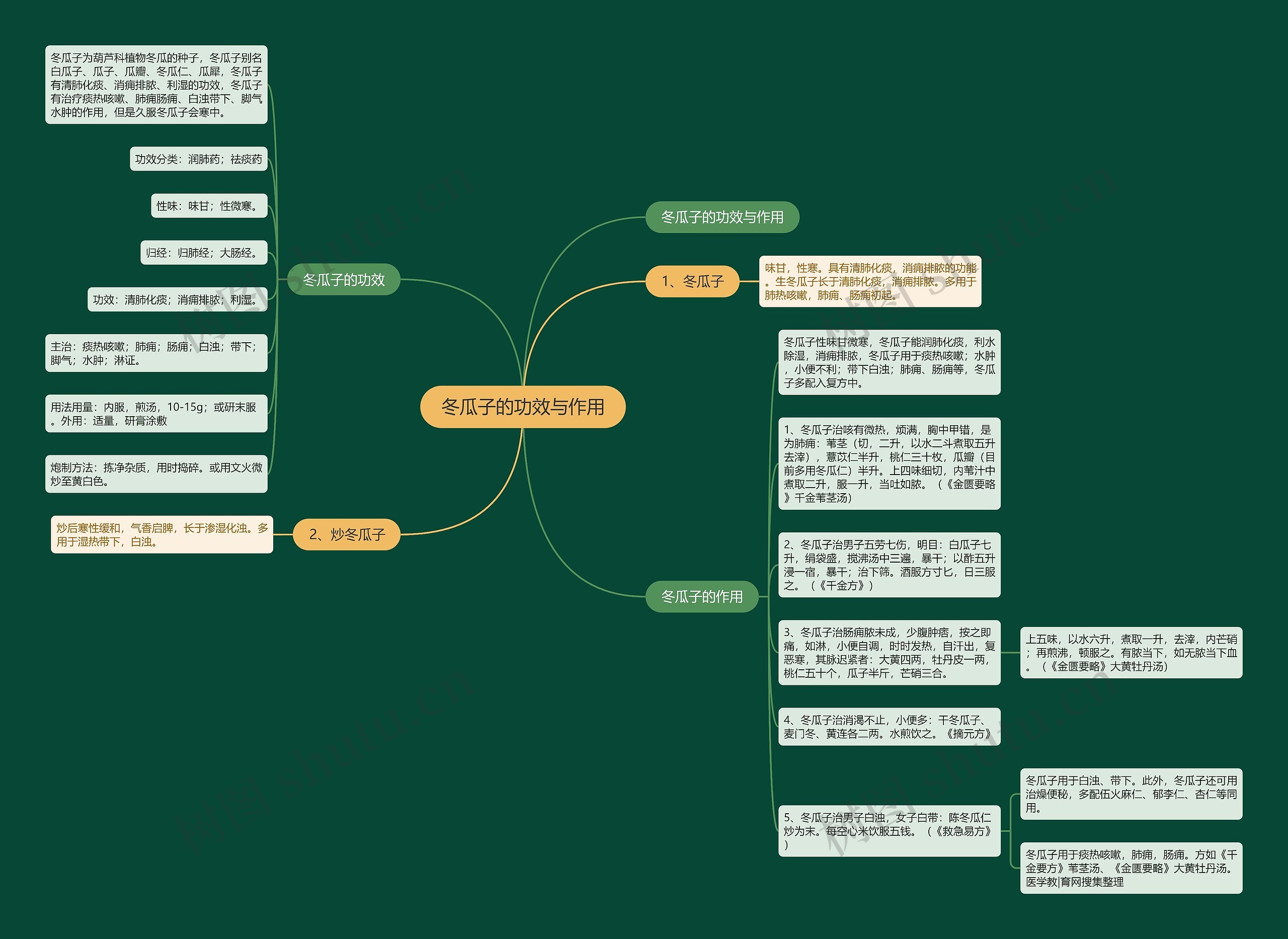 冬瓜子的功效与作用思维导图