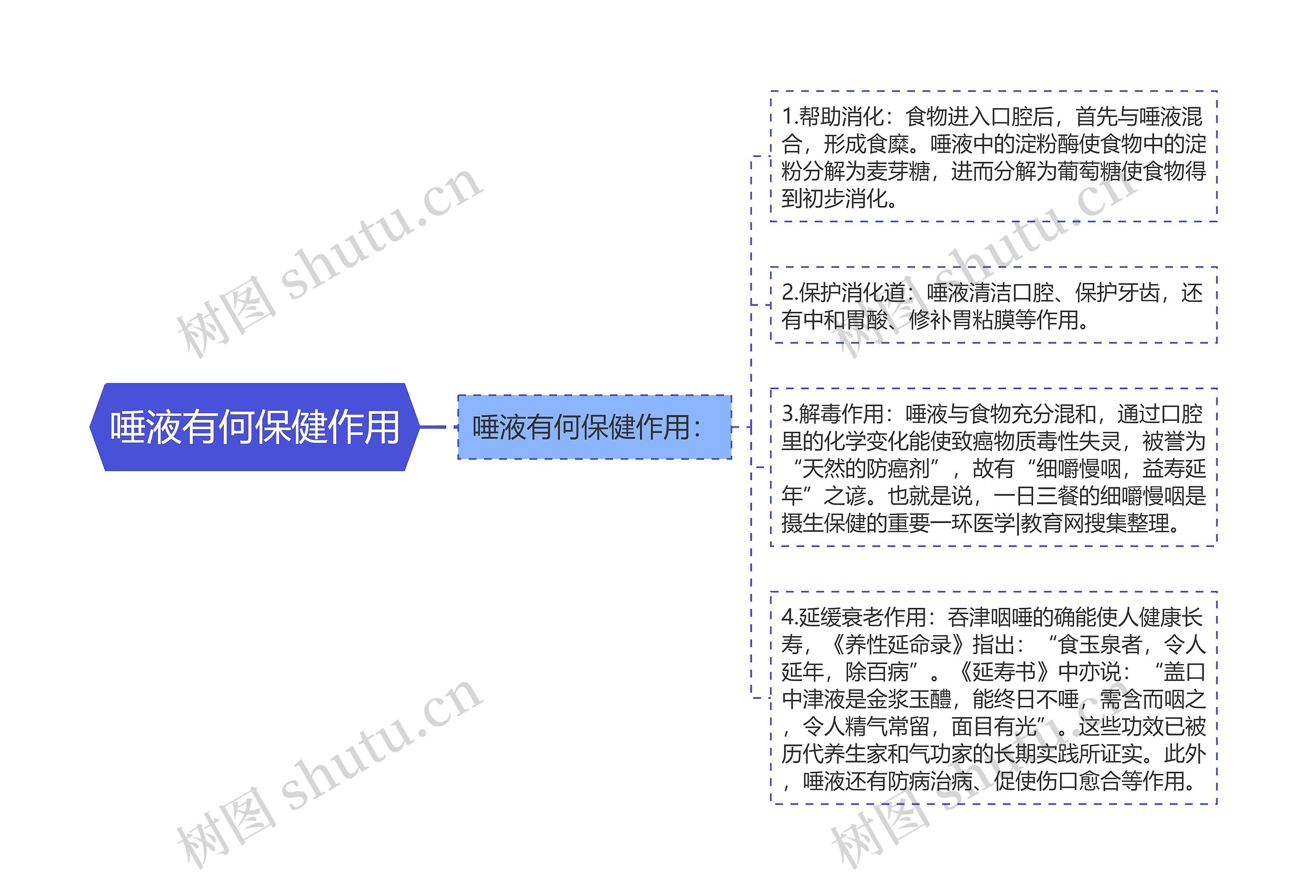 唾液有何保健作用思维导图