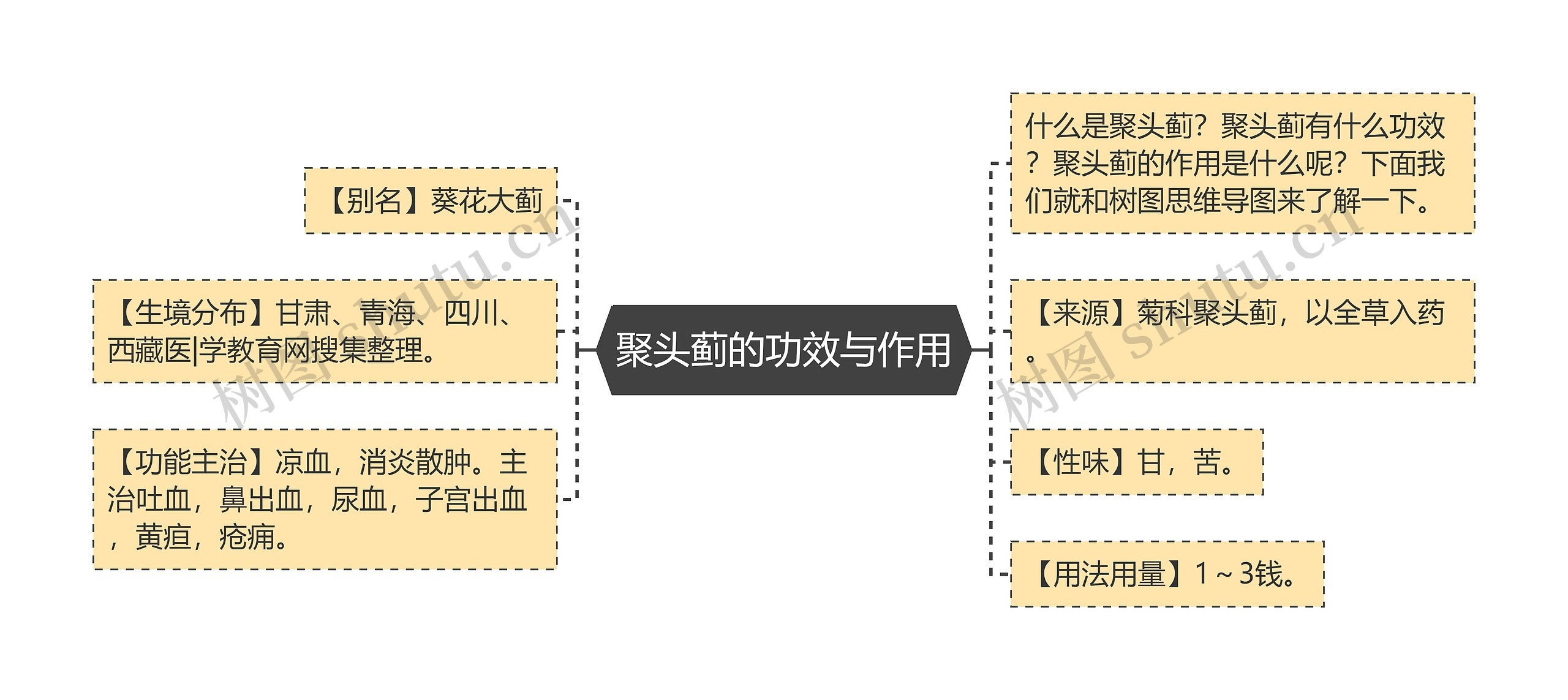 聚头蓟的功效与作用