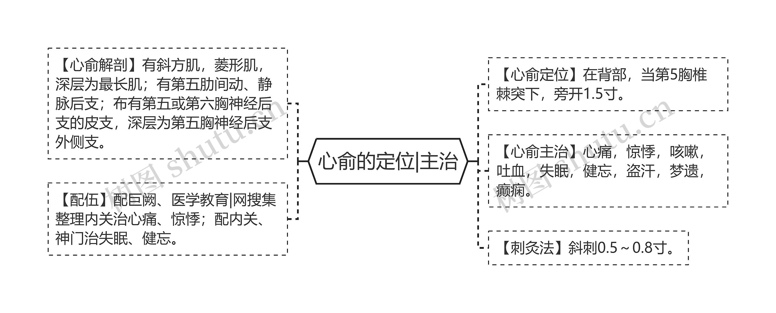 心俞的定位|主治思维导图