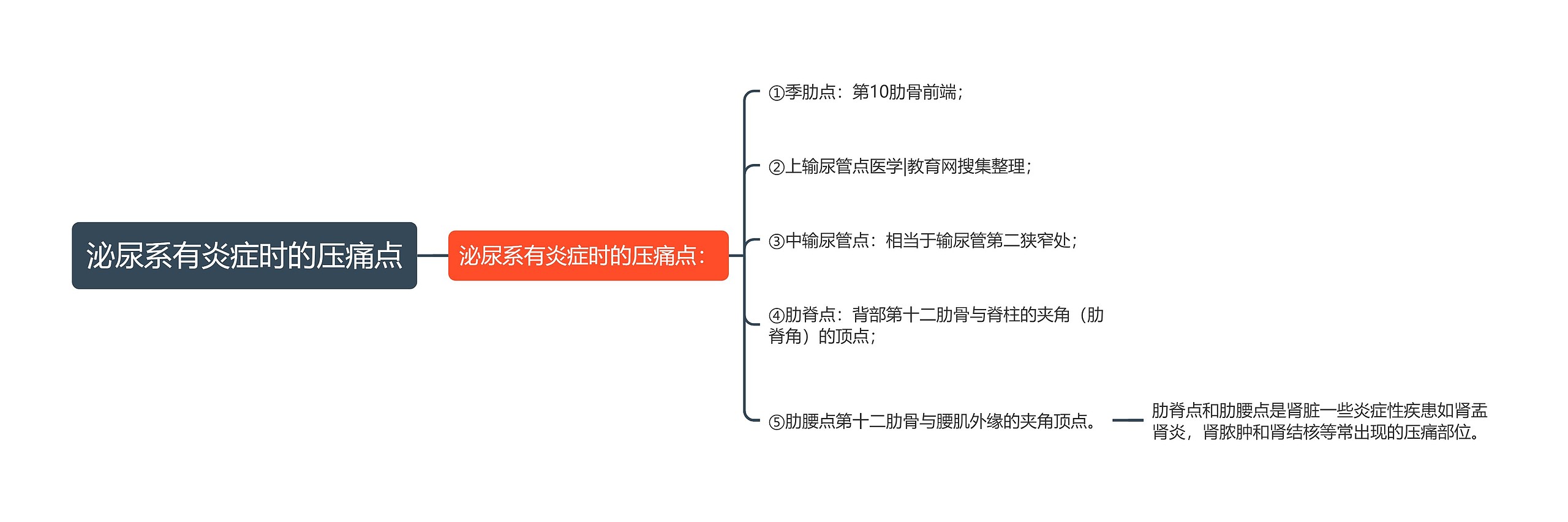 泌尿系有炎症时的压痛点 泌尿系有炎症时的压痛点