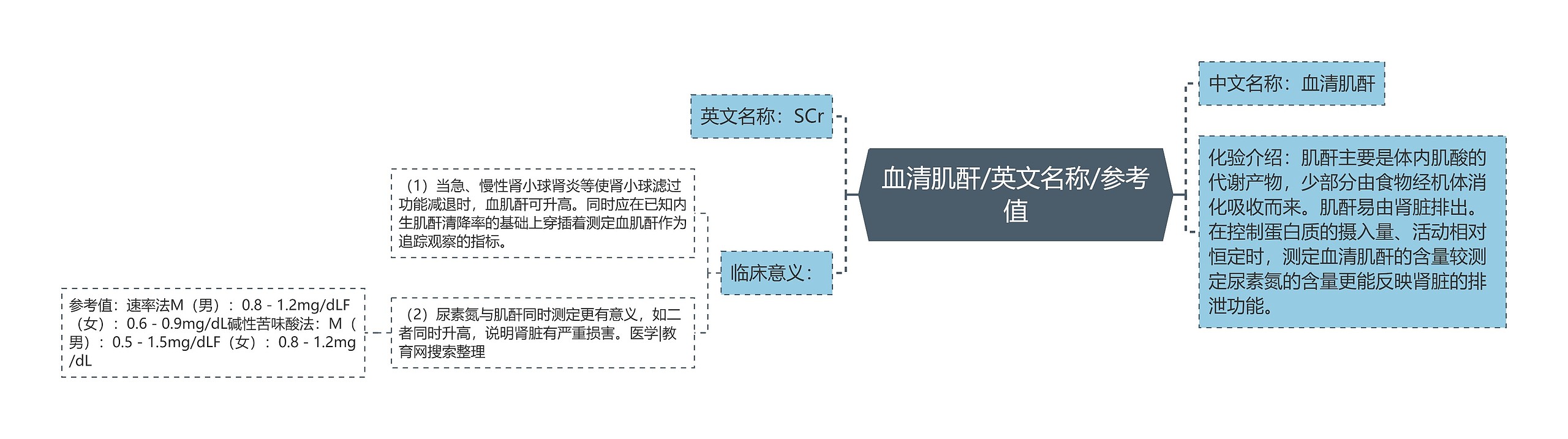 血清肌酐/英文名称/参考值