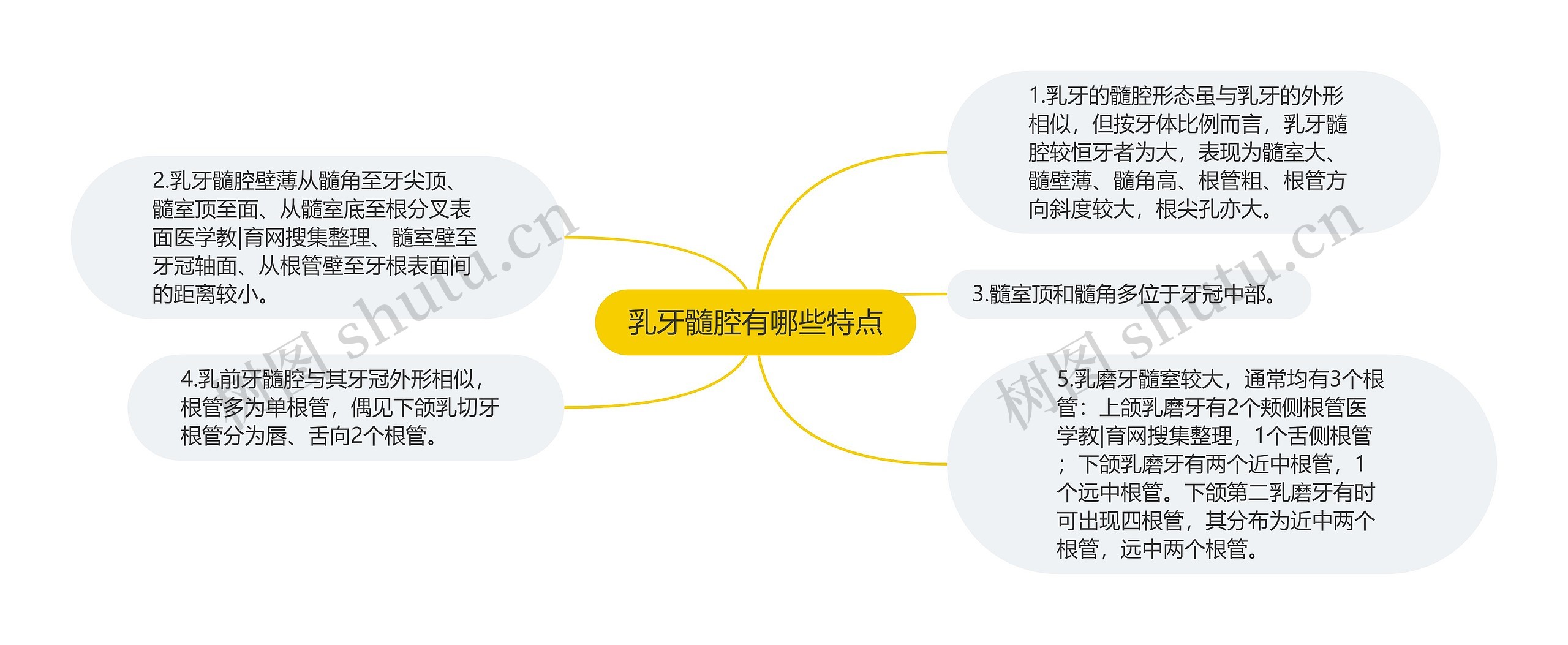 乳牙髓腔有哪些特点思维导图