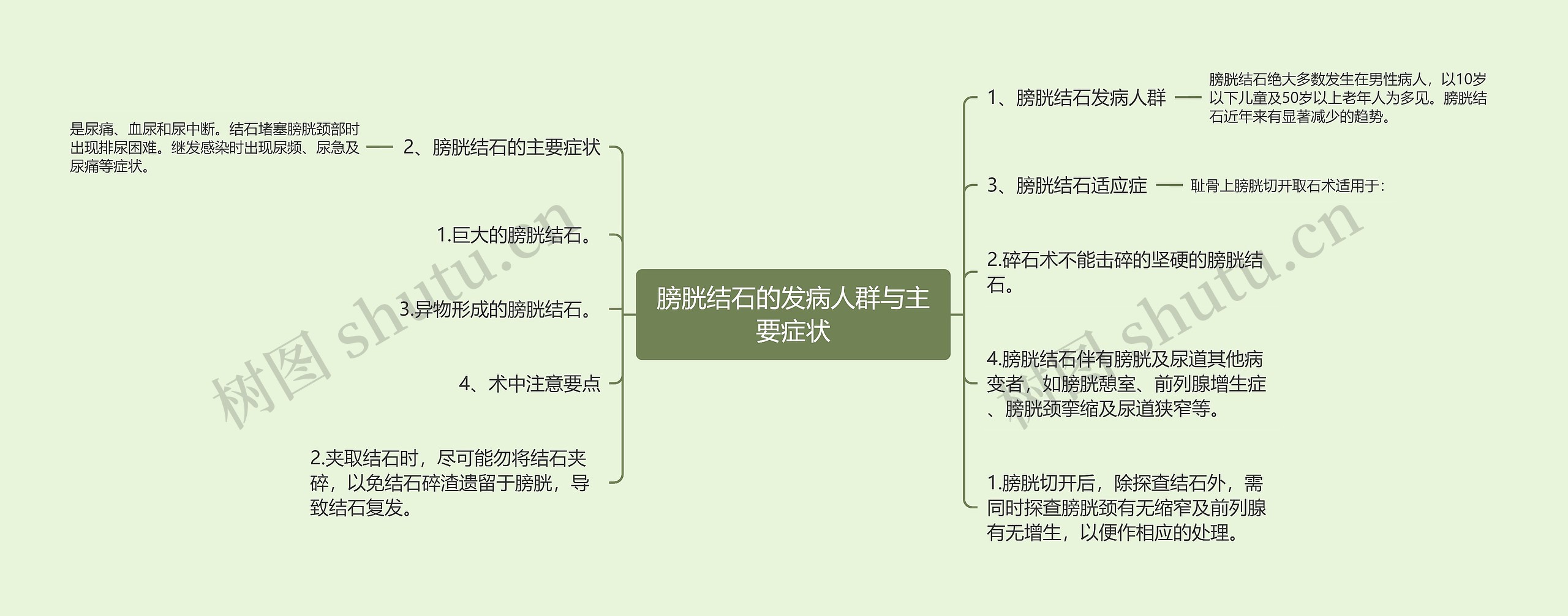 膀胱结石的发病人群与主要症状思维导图