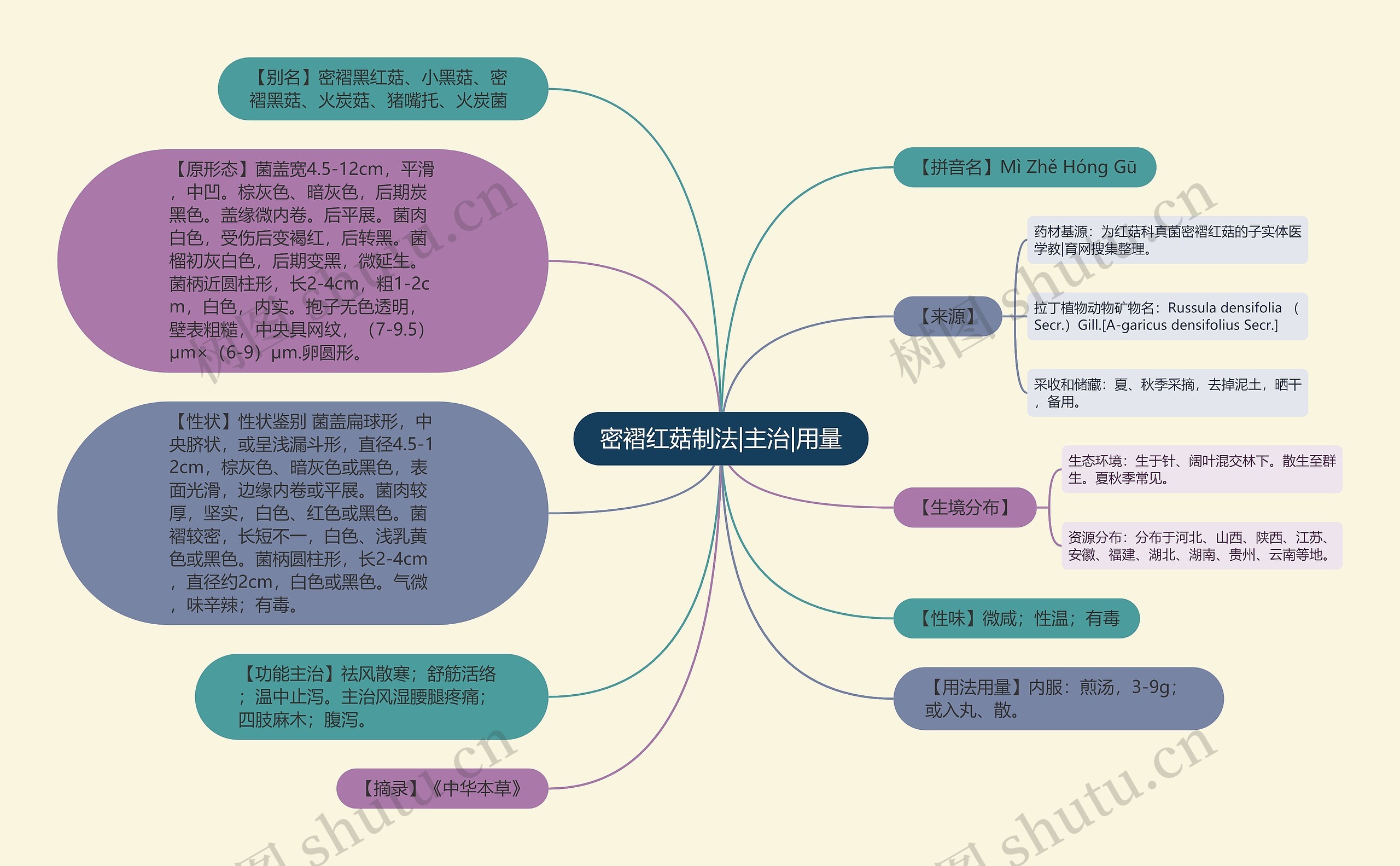 密褶红菇制法|主治|用量思维导图