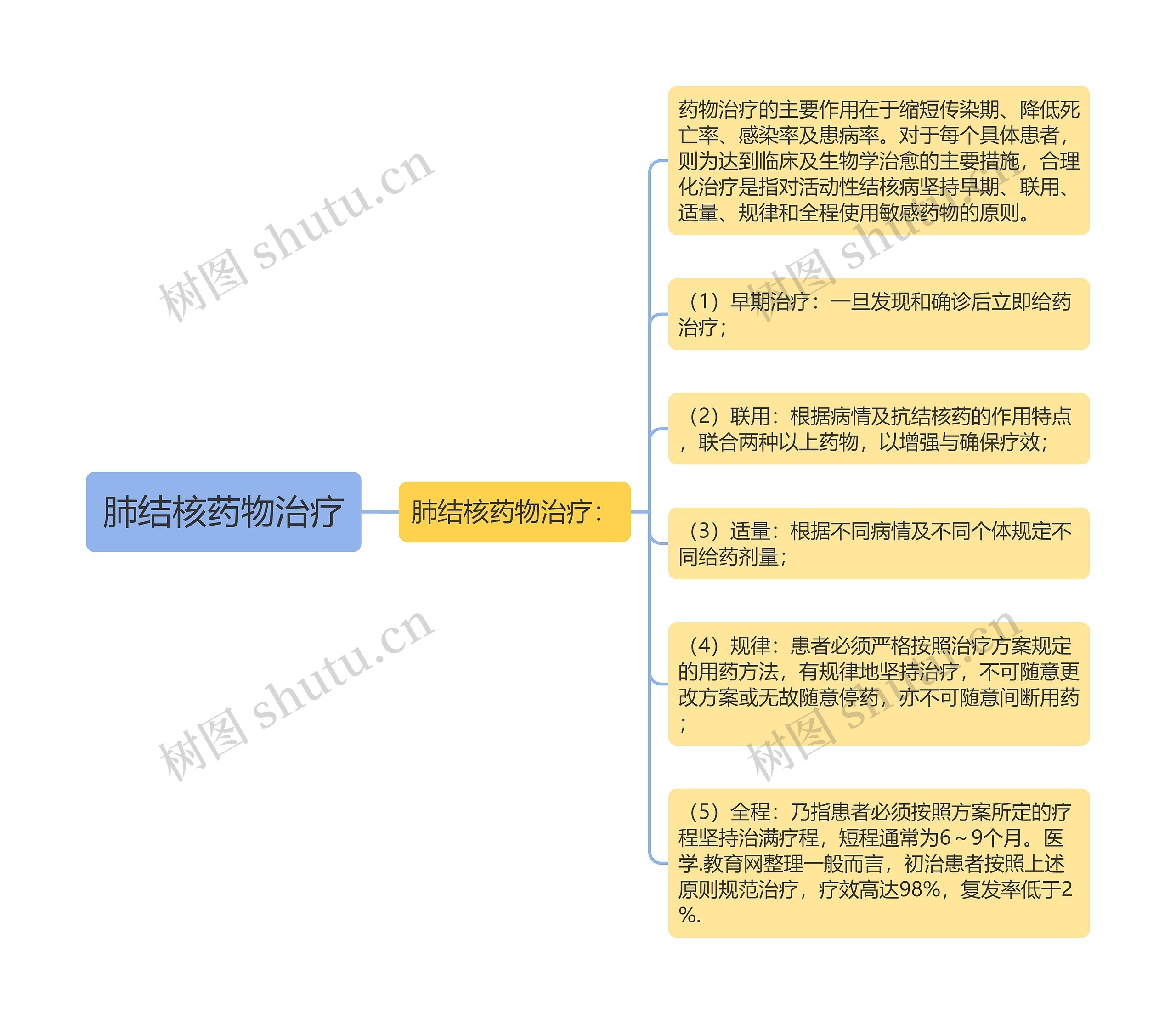 肺结核药物治疗思维导图