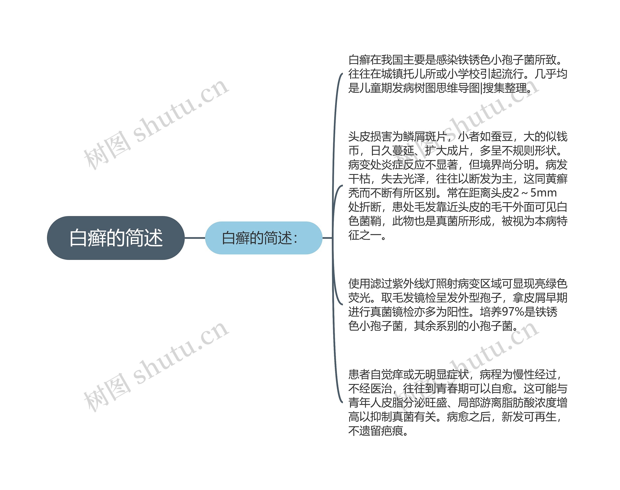 白癣的简述思维导图