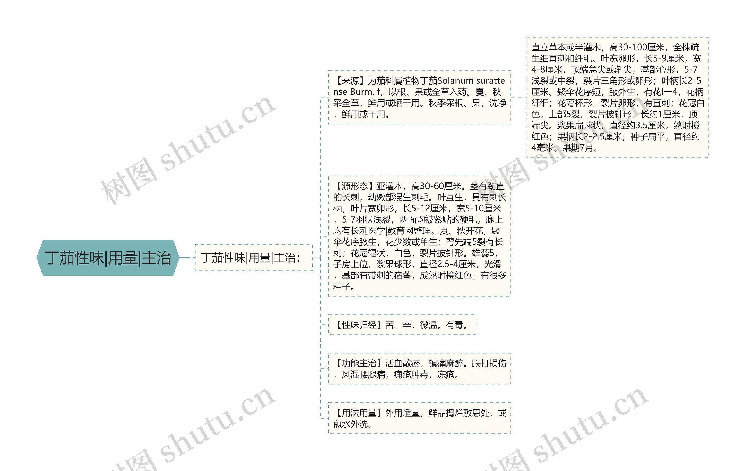 丁茄性味|用量|主治思维导图