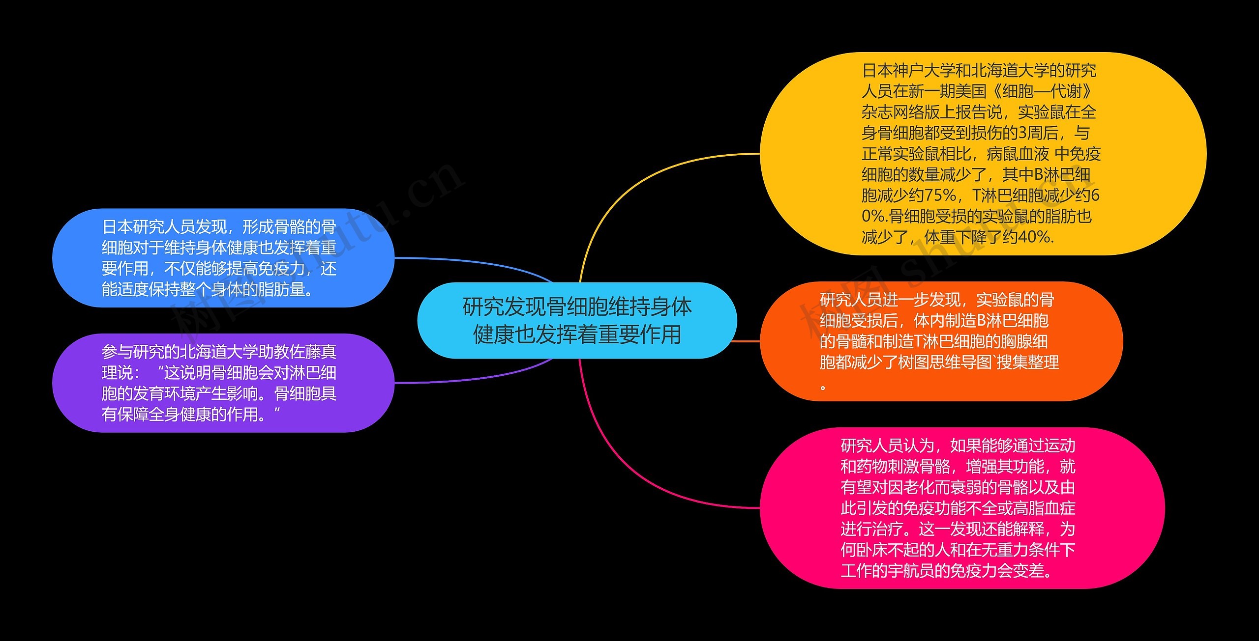 研究发现骨细胞维持身体健康也发挥着重要作用 研究发现骨细胞维持身体健康也发挥着重要作用