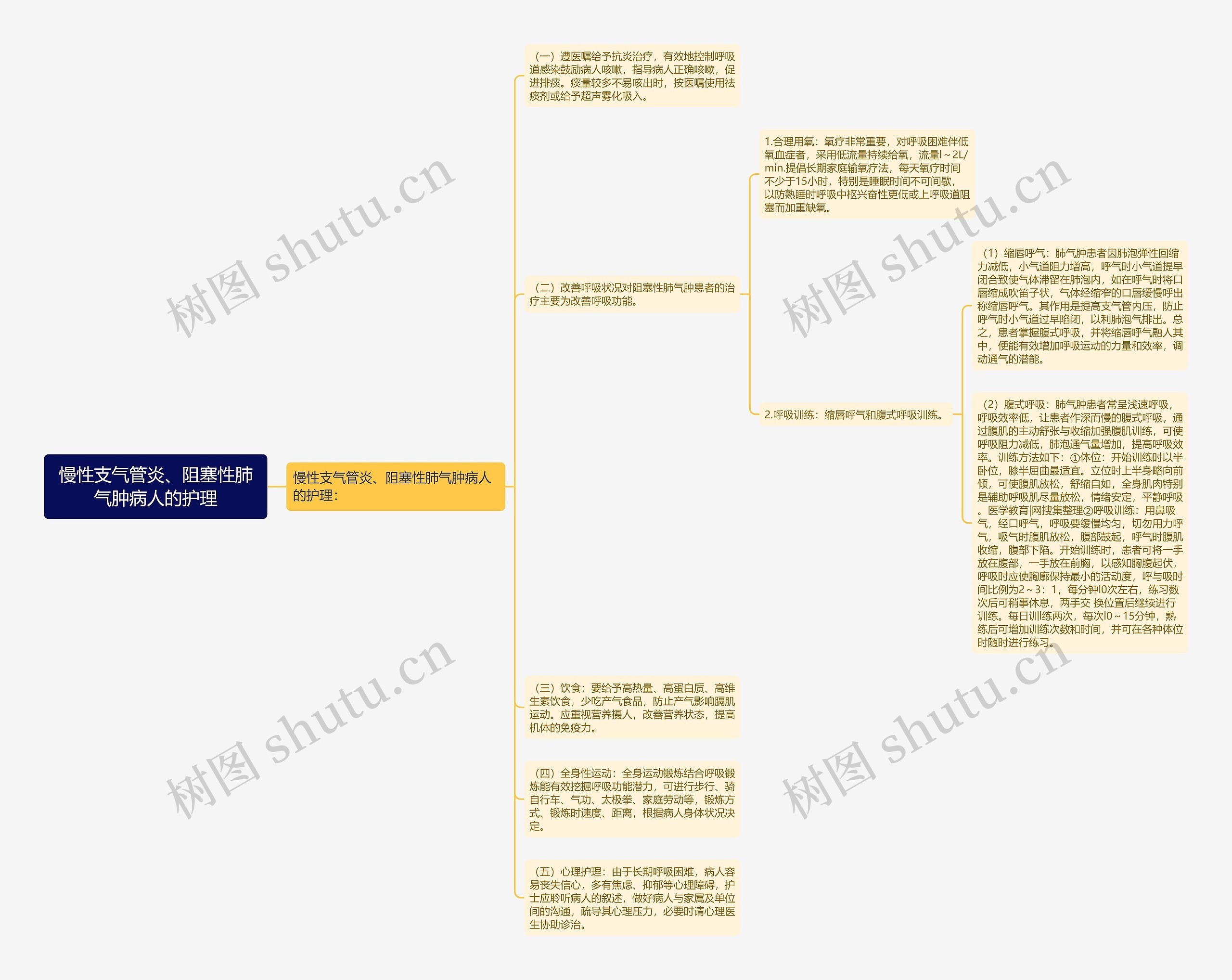 慢性支气管炎、阻塞性肺气肿病人的护理思维导图
