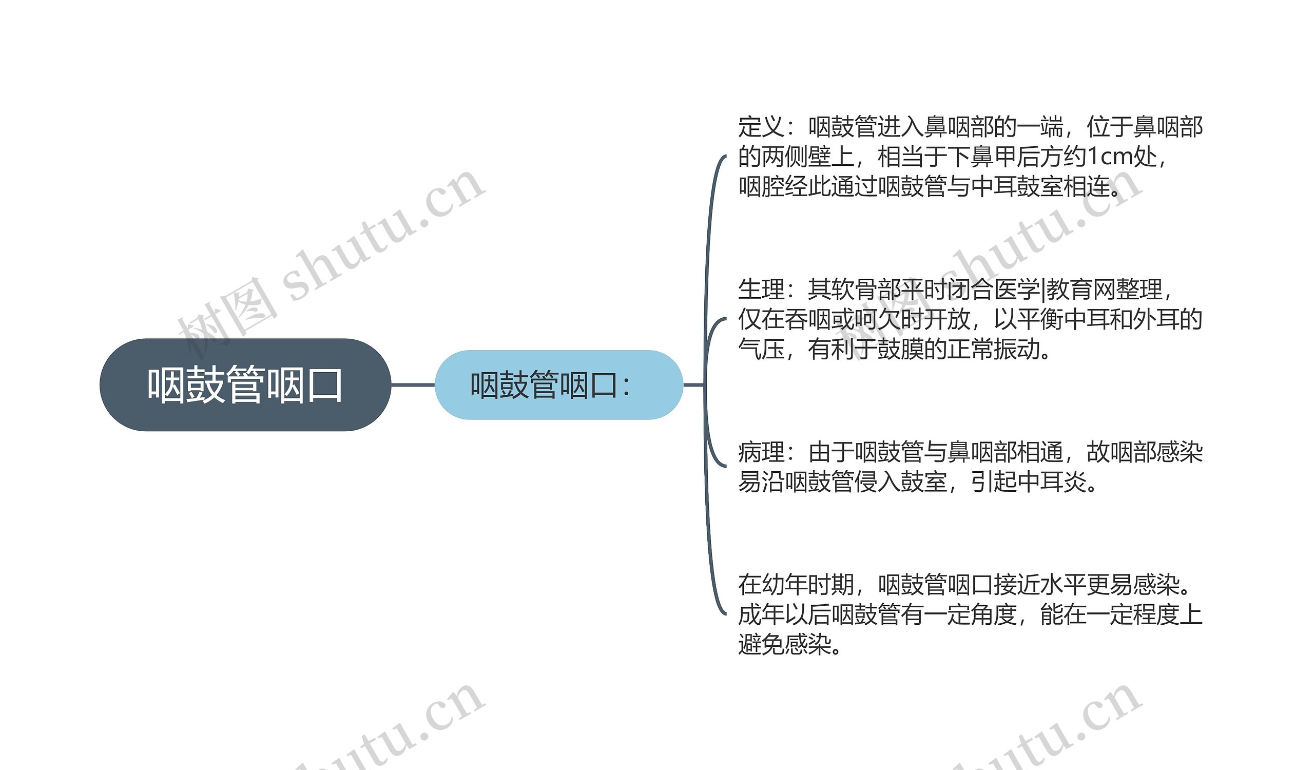 咽鼓管咽口思维导图