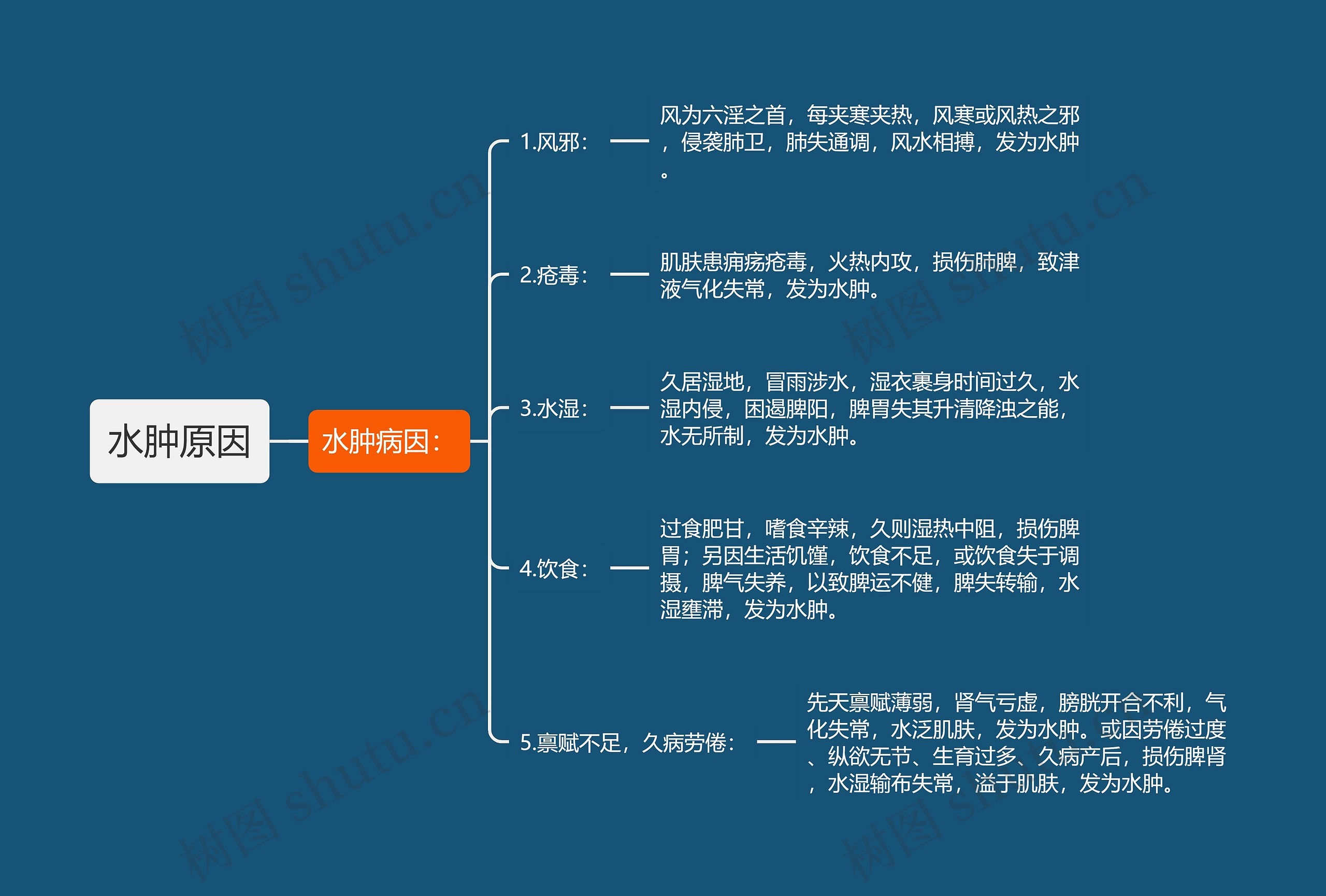 水肿原因思维导图