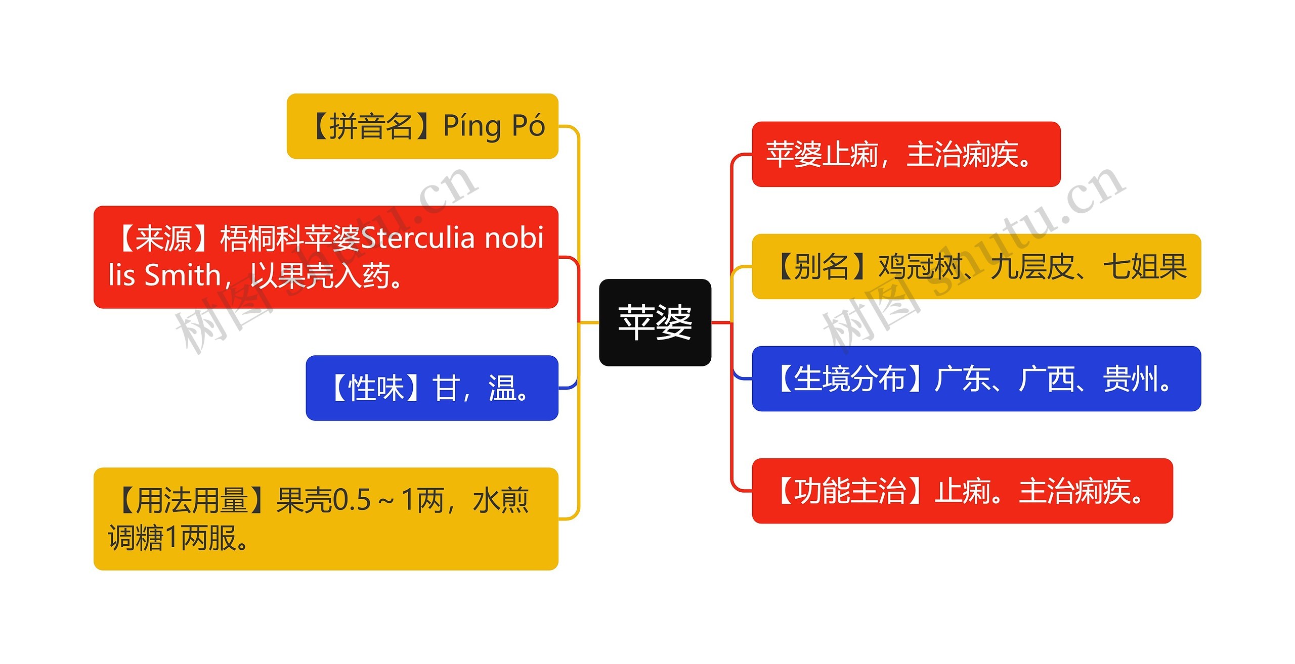 苹婆思维导图