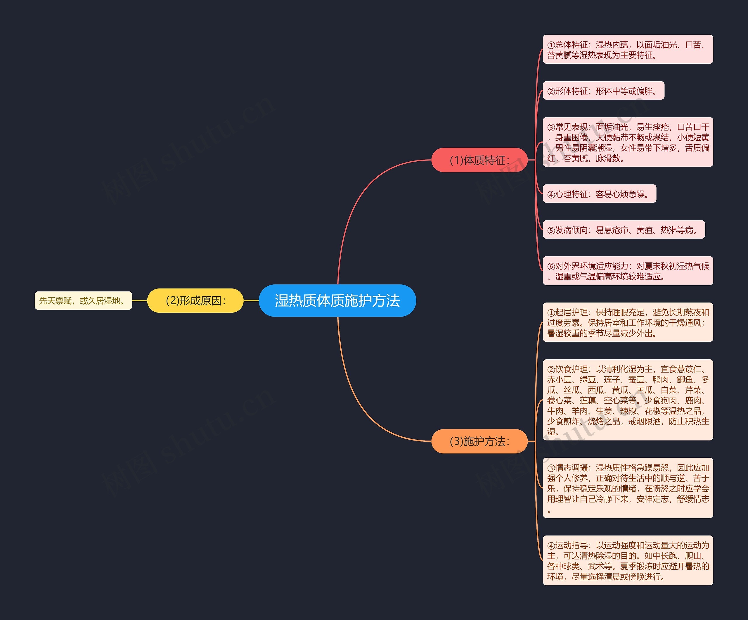 湿热质体质施护方法思维导图