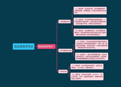 简述各类牙特点