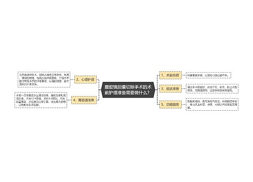 腹腔镜胆囊切除手术的术前护理准备需要做什么？