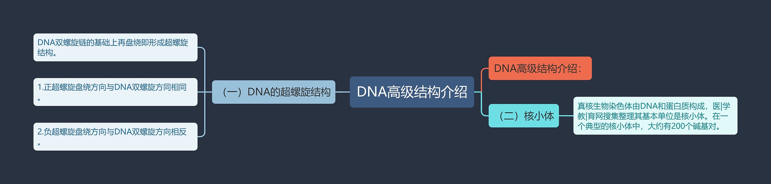 DNA高级结构介绍思维导图