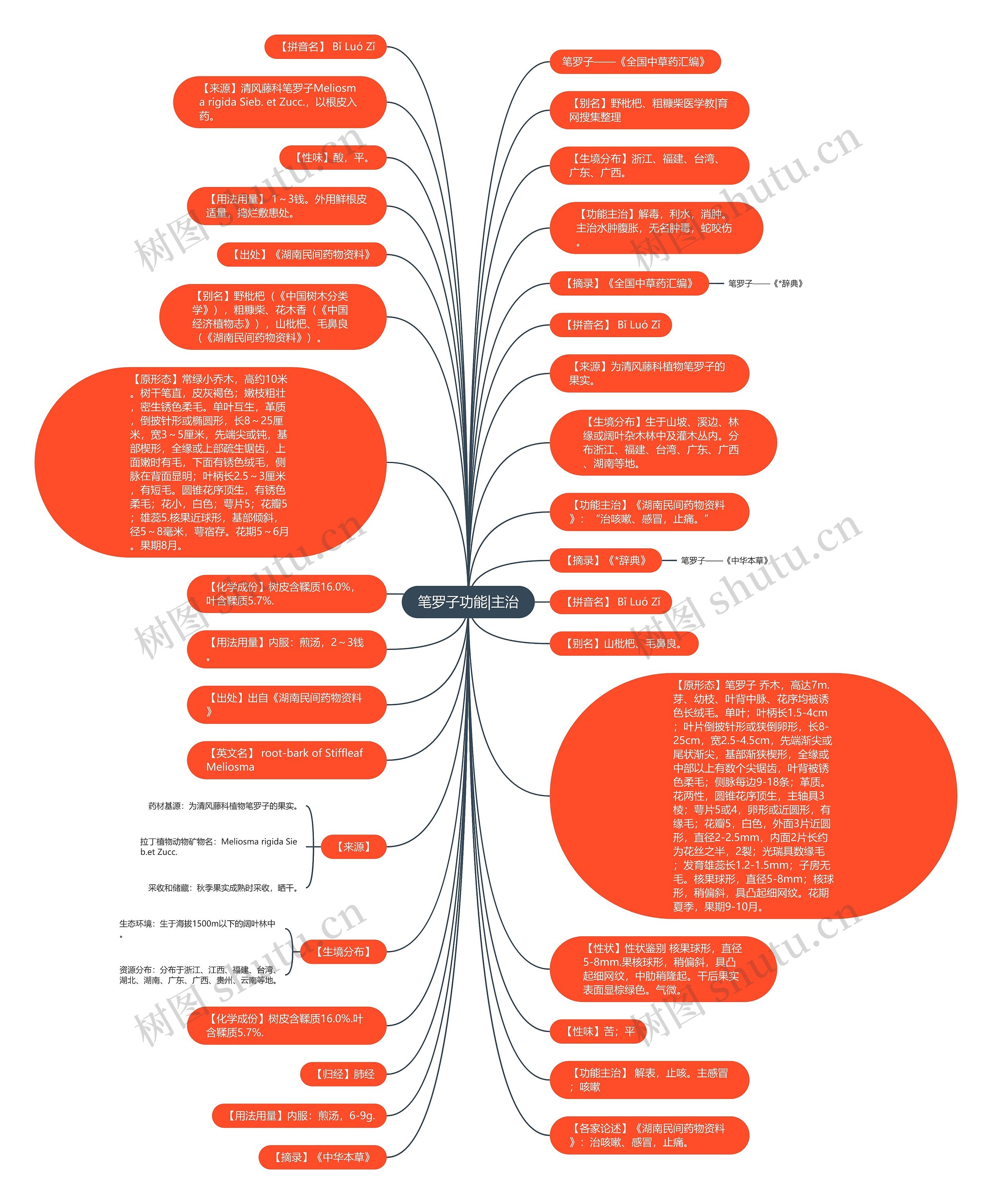 笔罗子功能|主治思维导图