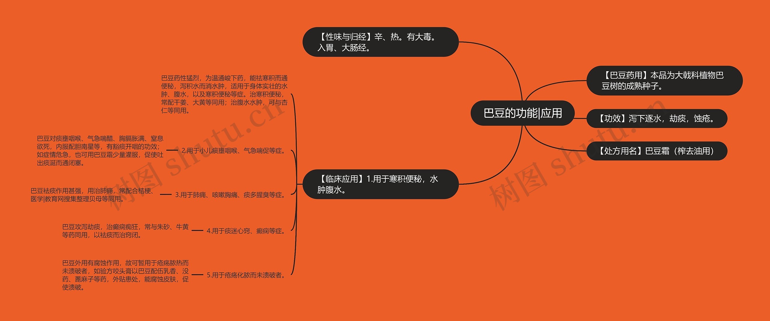 巴豆的功能|应用思维导图