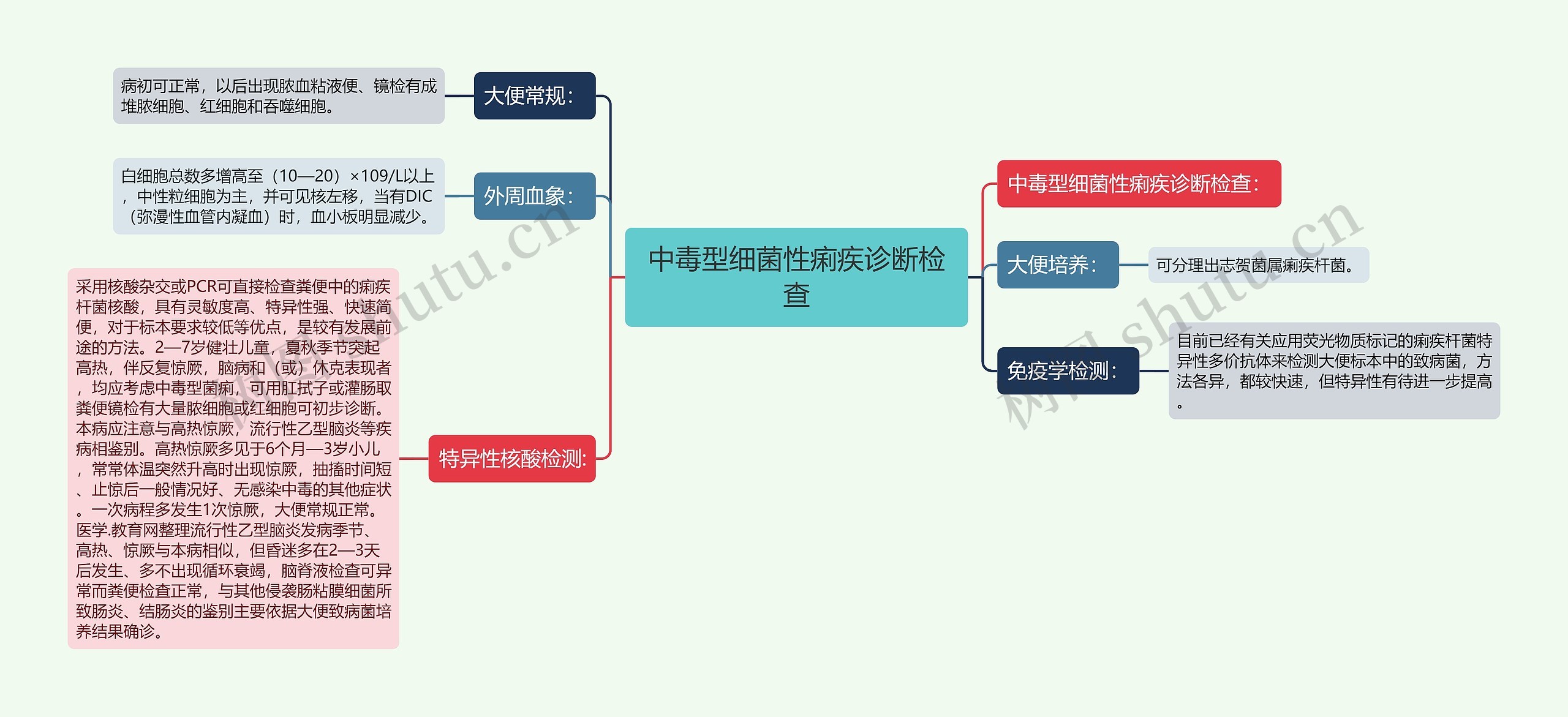 中毒型细菌性痢疾诊断检查思维导图