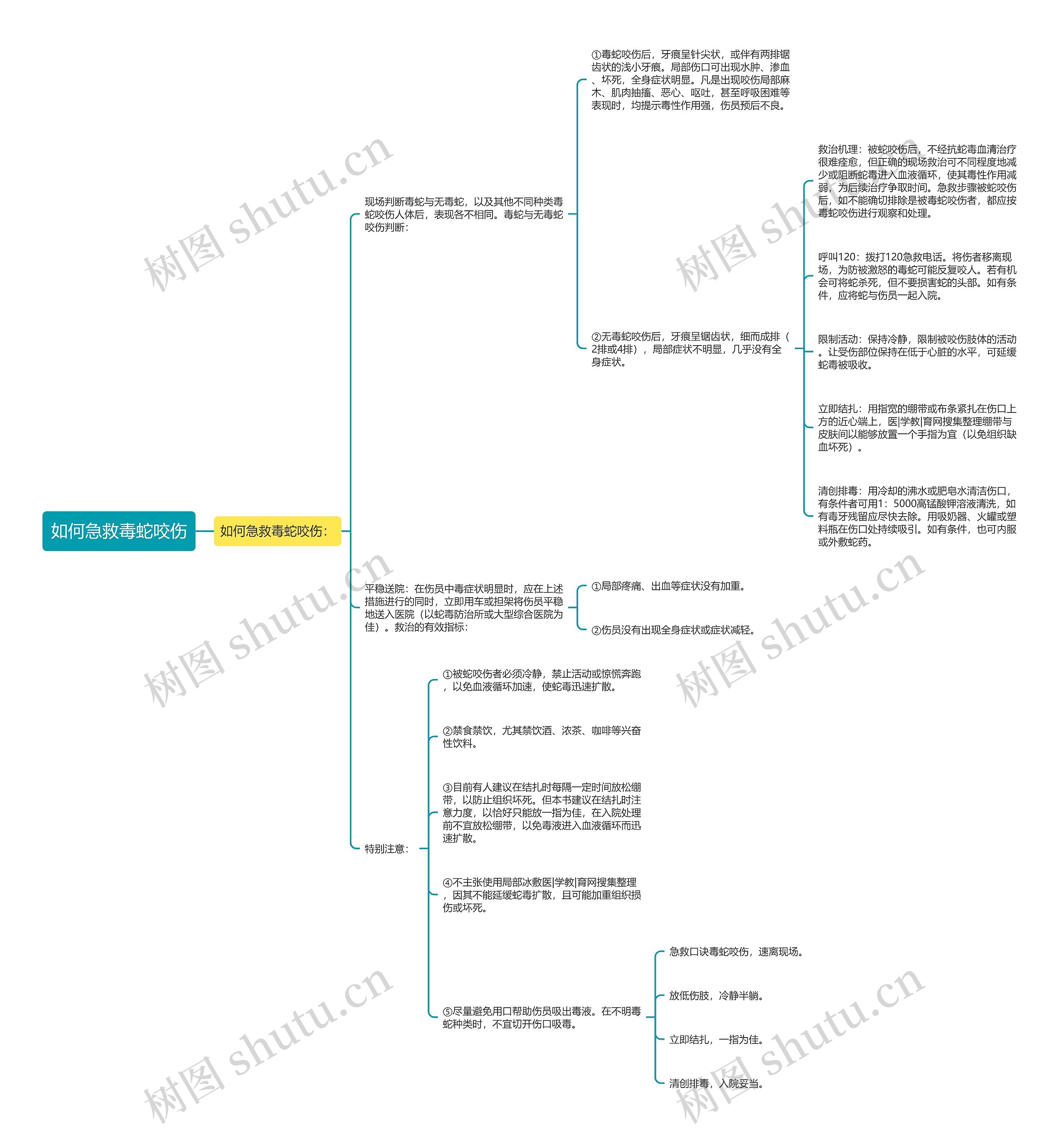 如何急救毒蛇咬伤思维导图