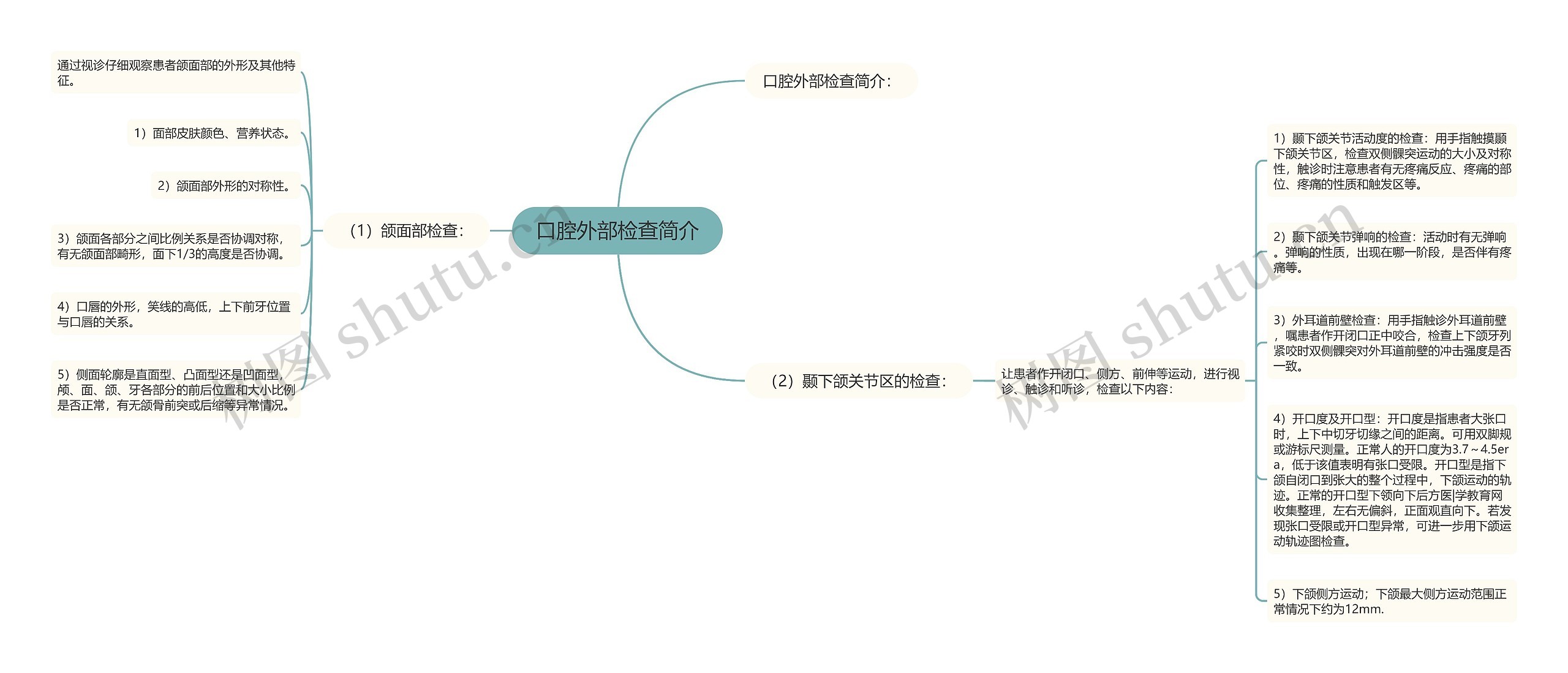 口腔外部检查简介